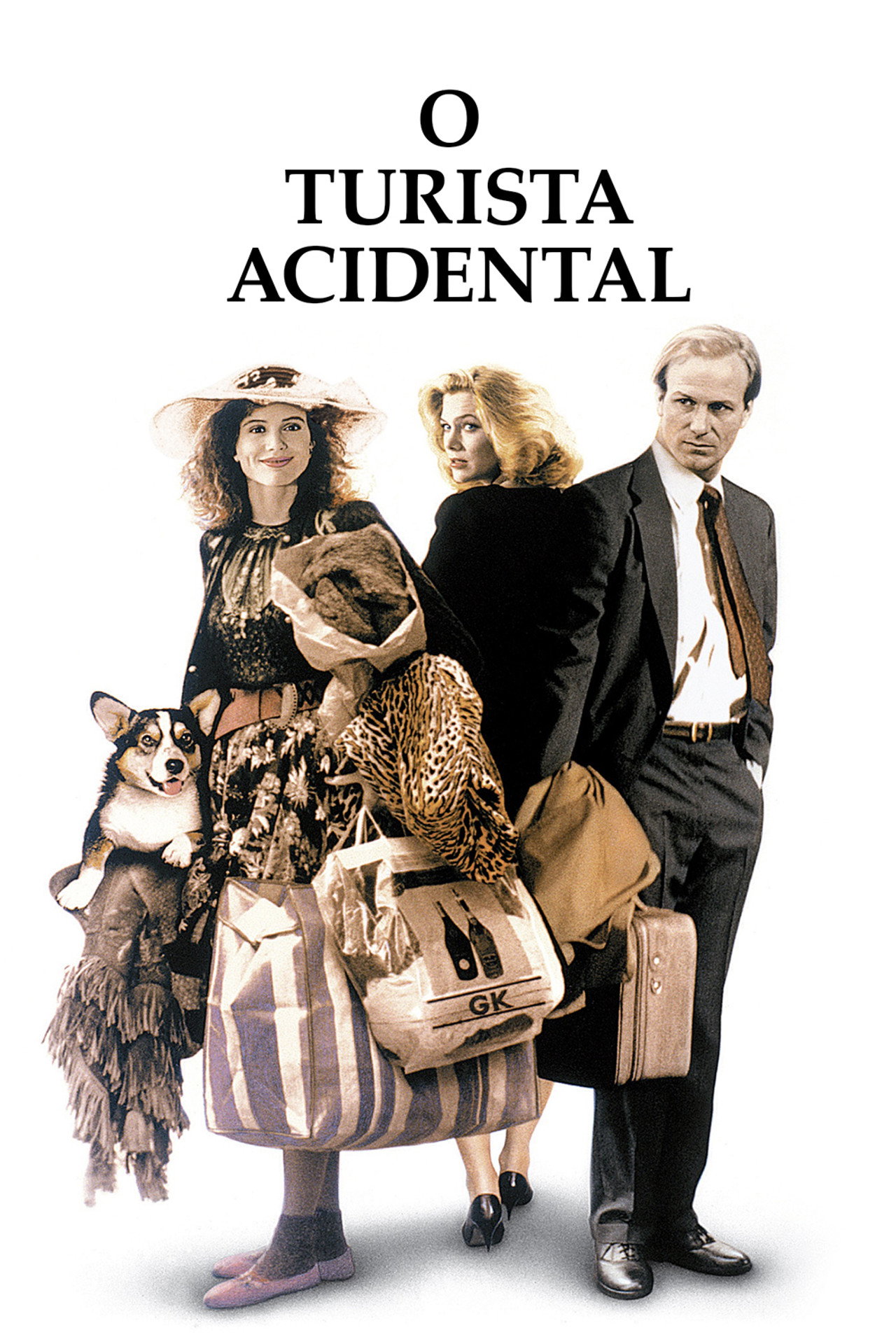 Pôster de O Turista Acidental