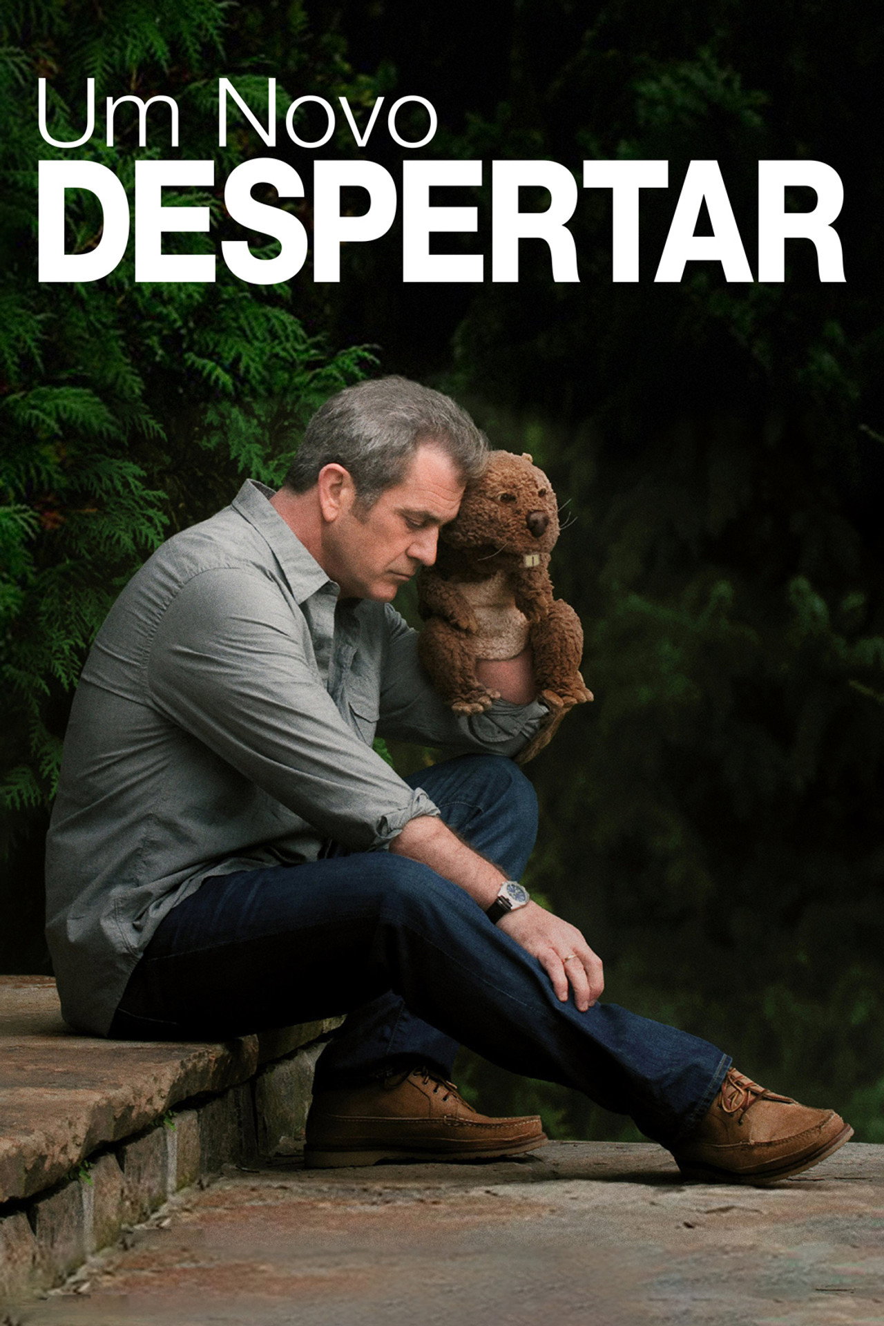 Pôster de Um Novo Despertar