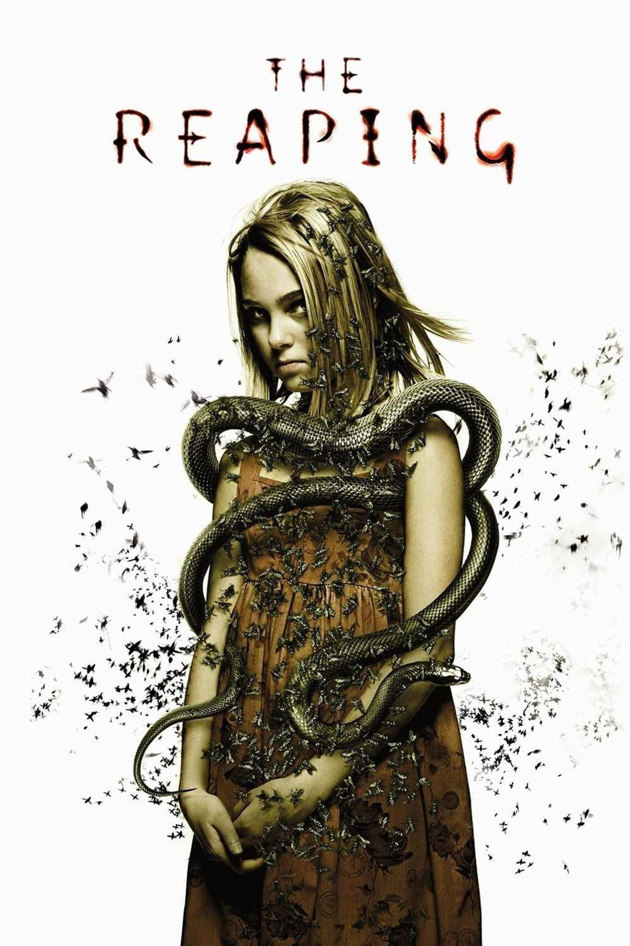 Pôster de The Reaping