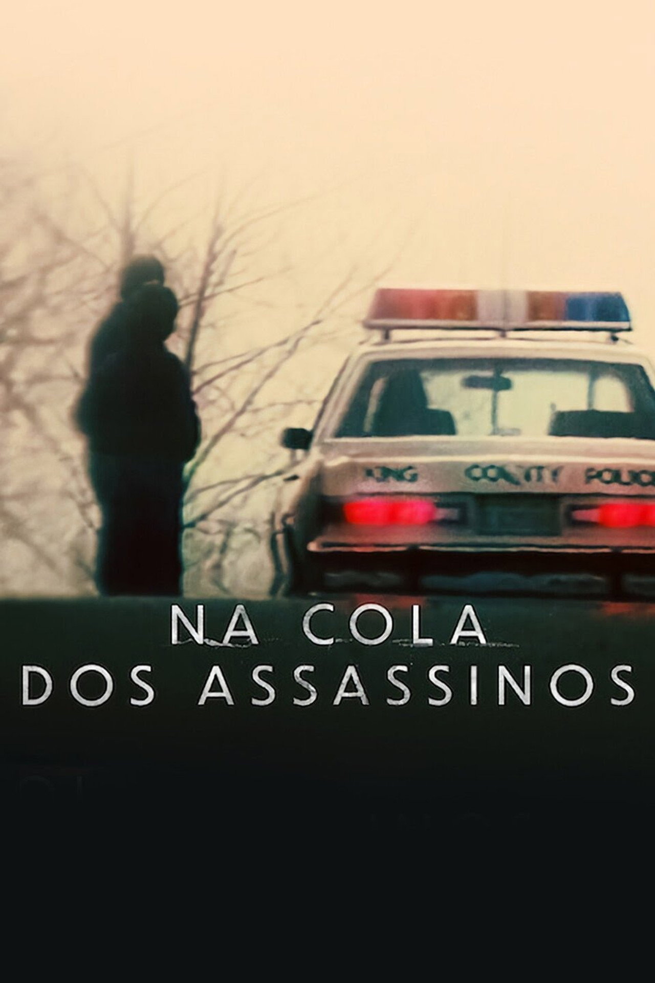 Pôster de Na Cola dos Assassinos