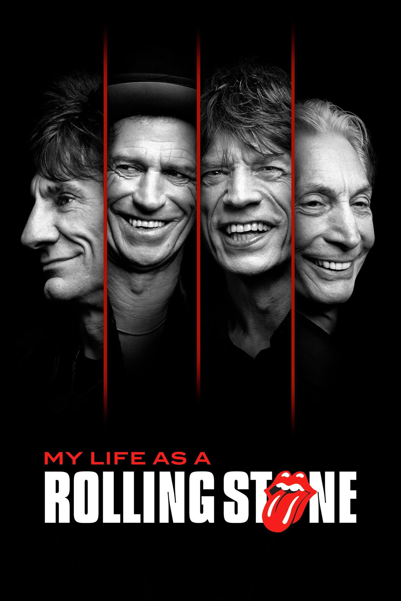 Pôster de My Life as a Rolling Stone