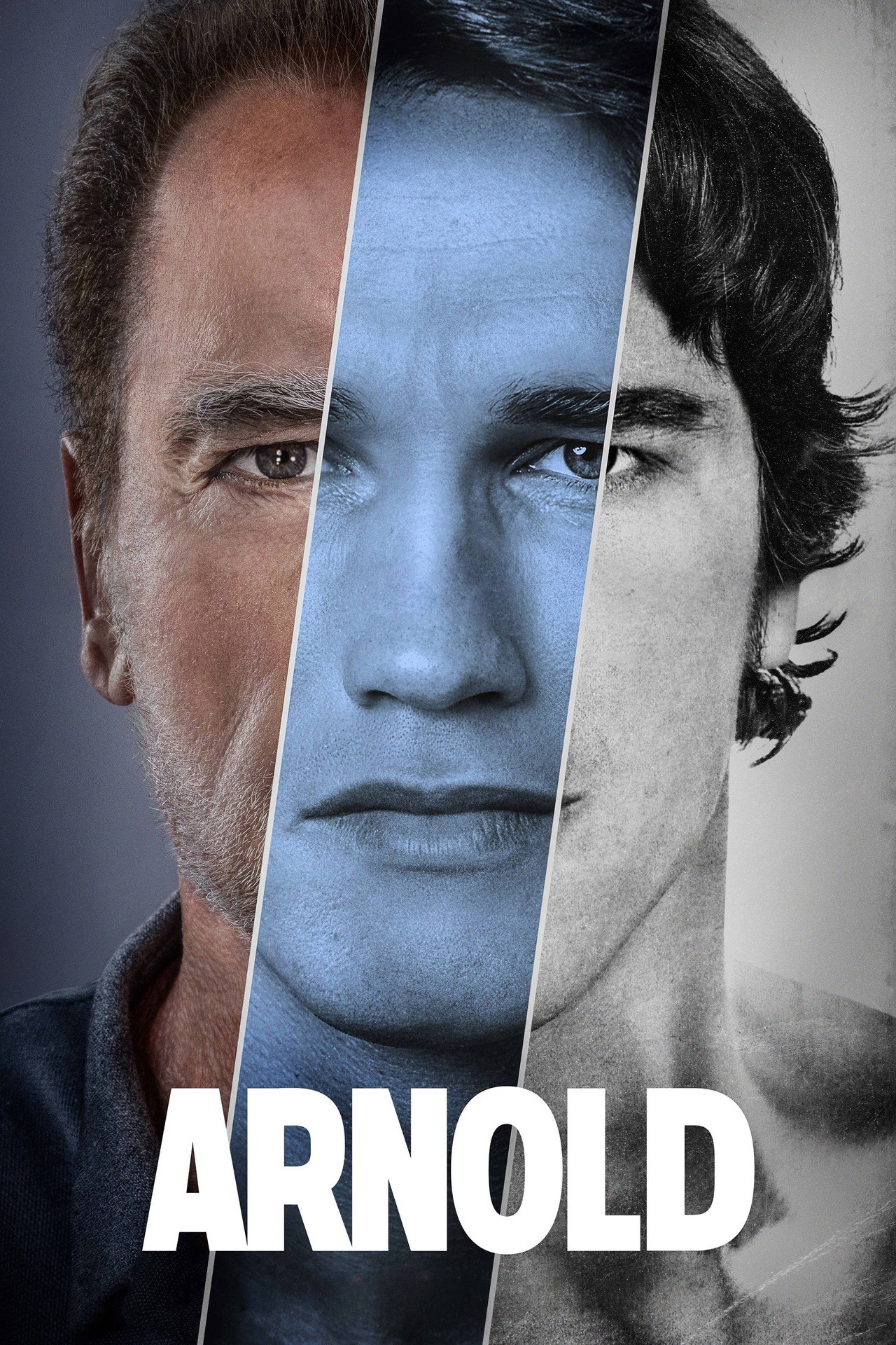 Pôster de Arnold