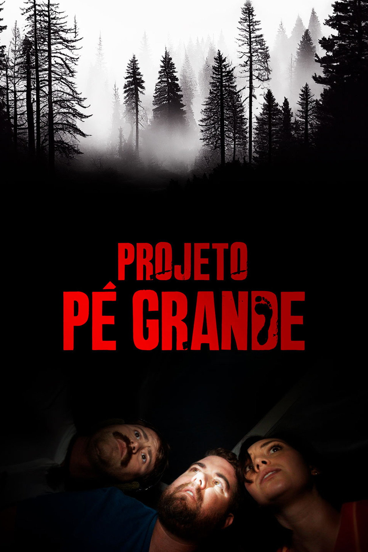 Pôster de Projeto Pé Grande