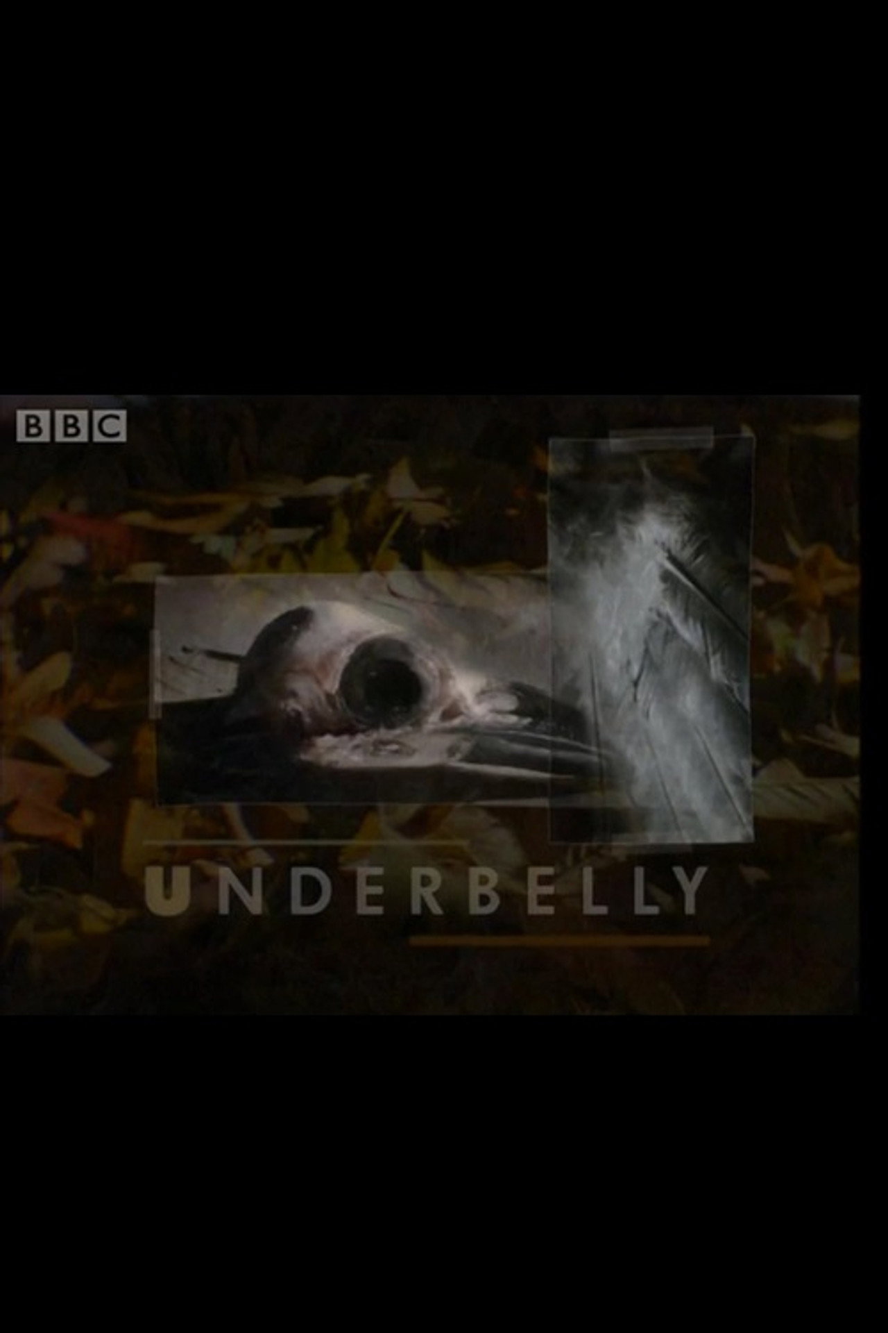 Pôster de Underbelly