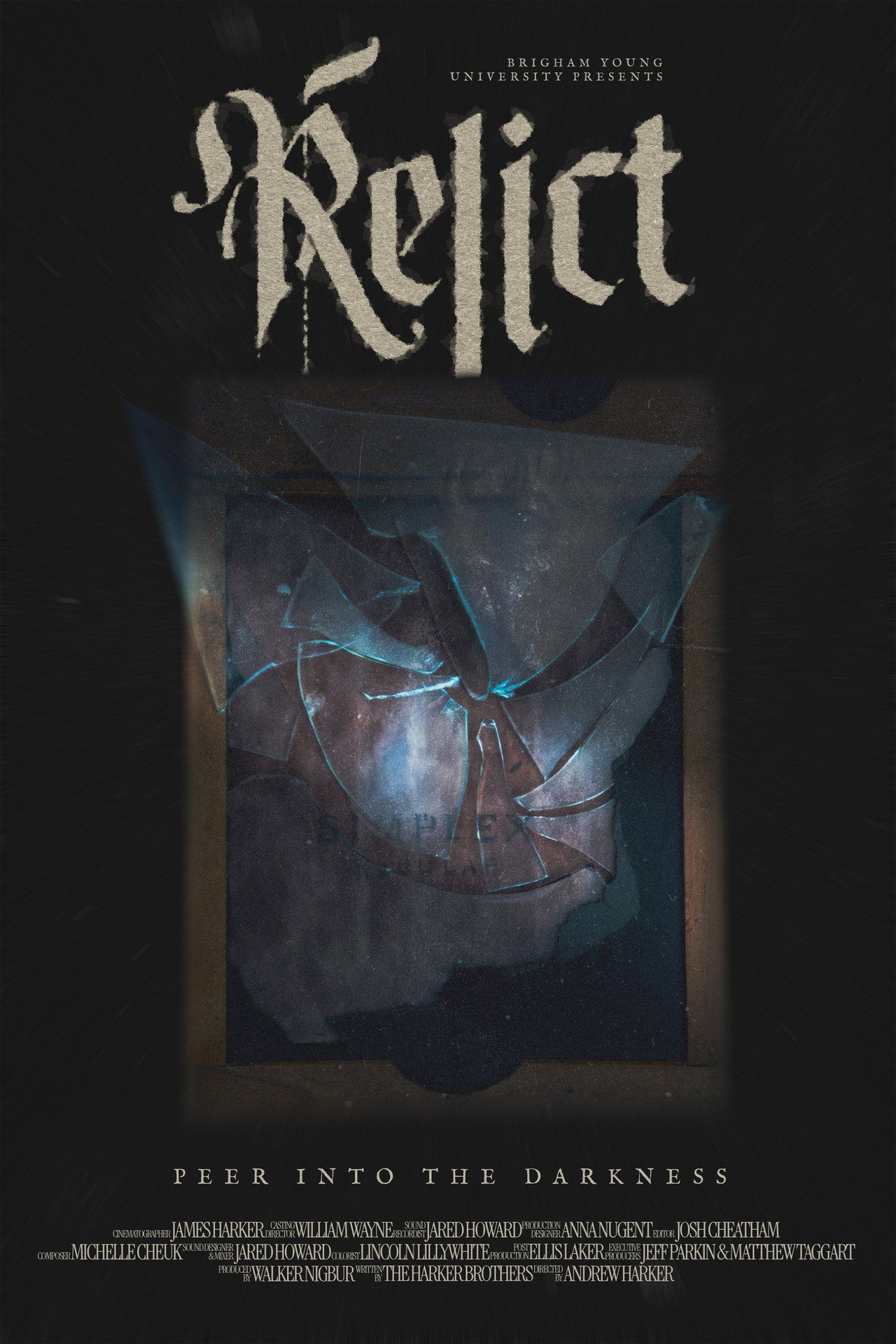 Pôster de Relict