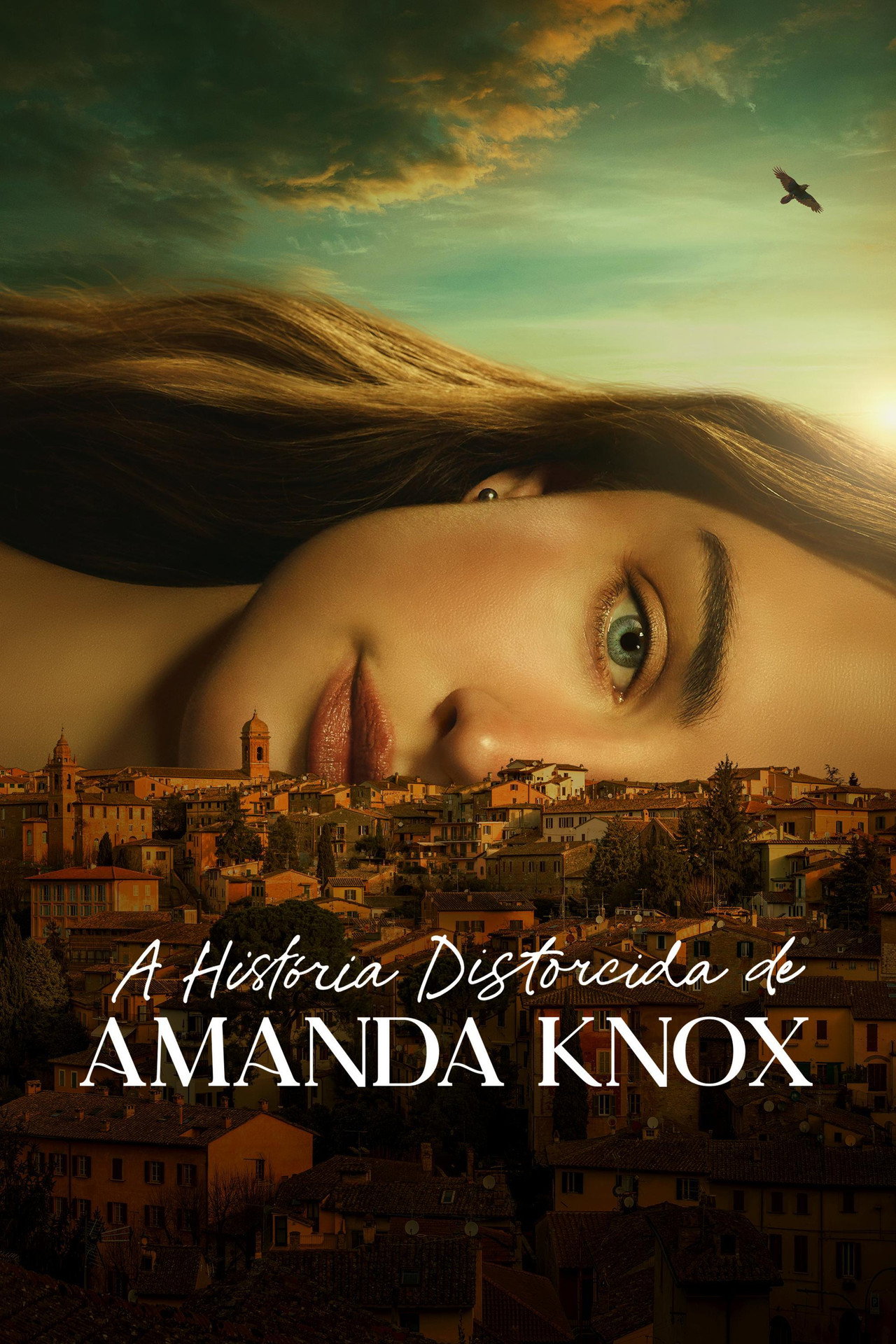Pôster de A História Distorcida de Amanda Knox