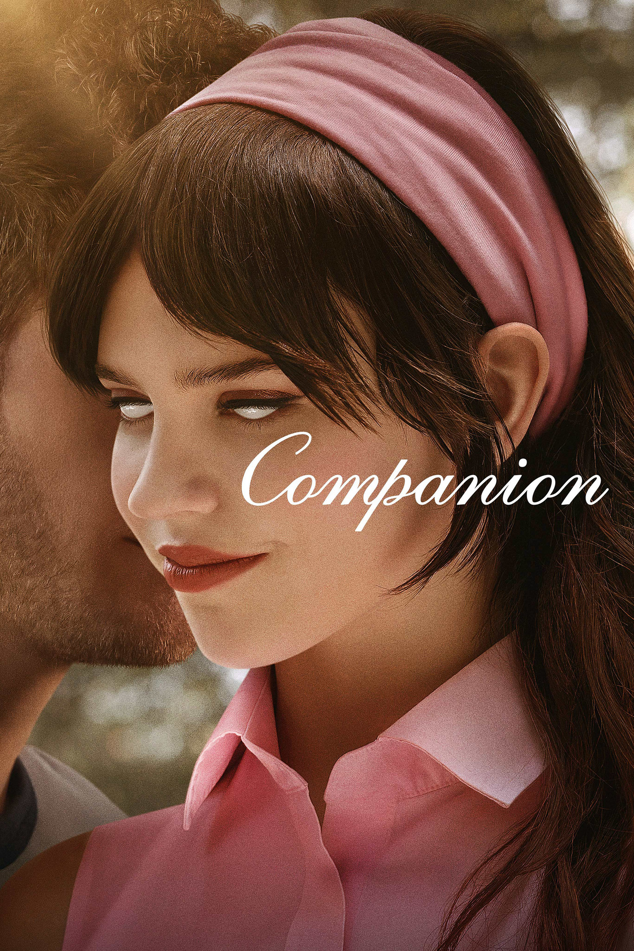 Pôster de Companion