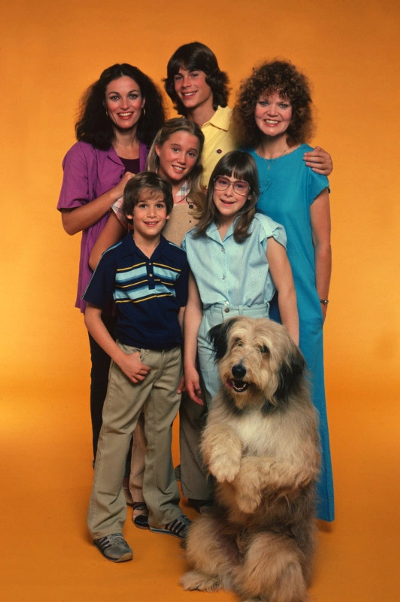 Pôster de A New Kind of Family