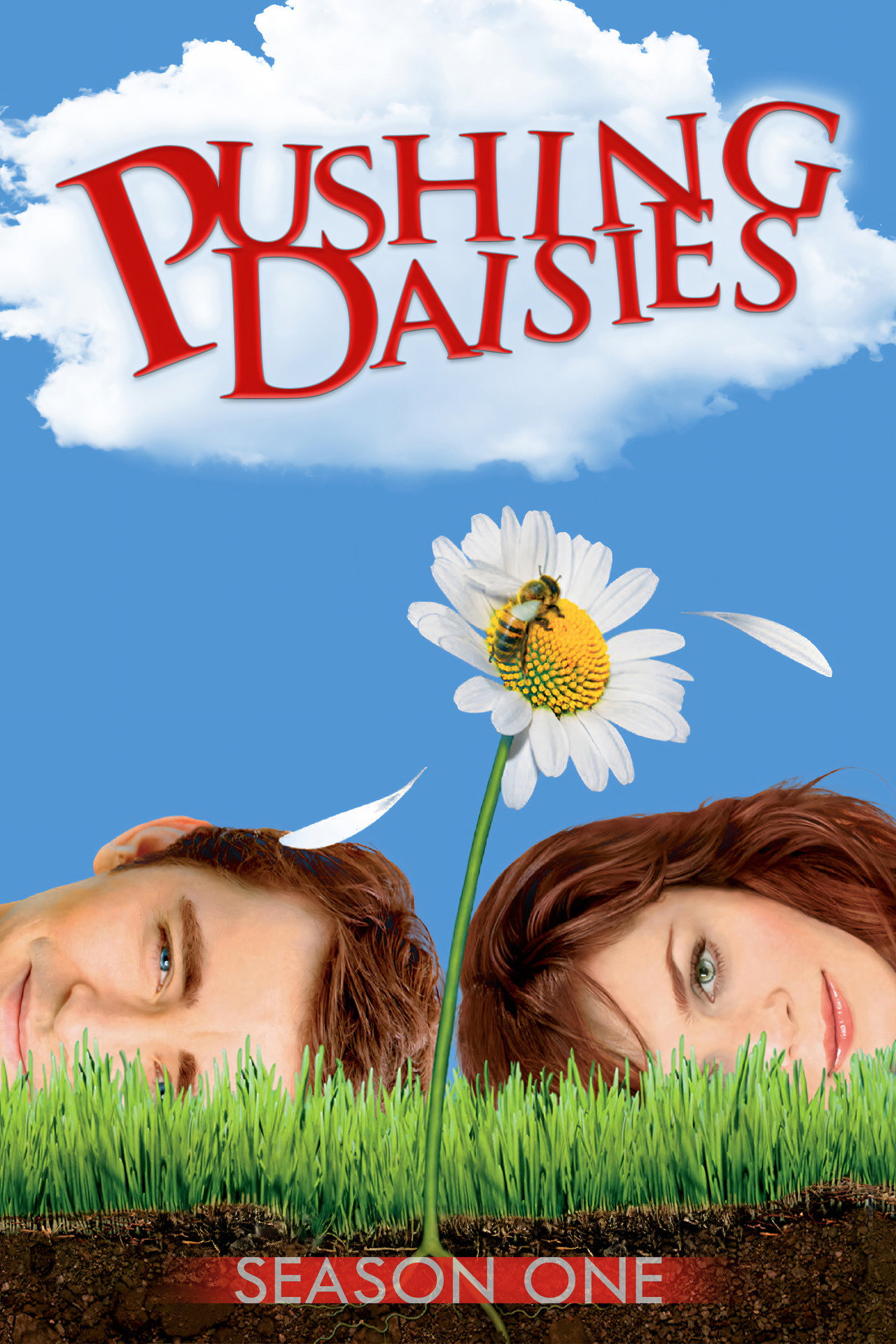 Pôster de Pushing Daisies