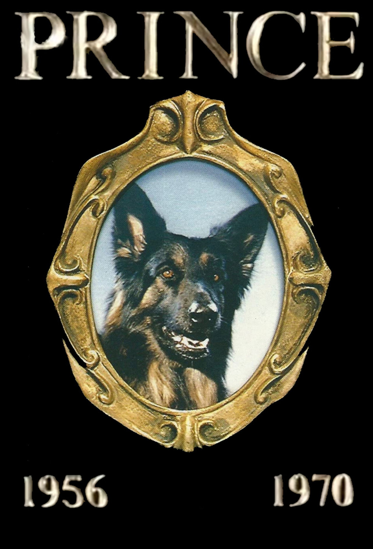 Pôster de Prince