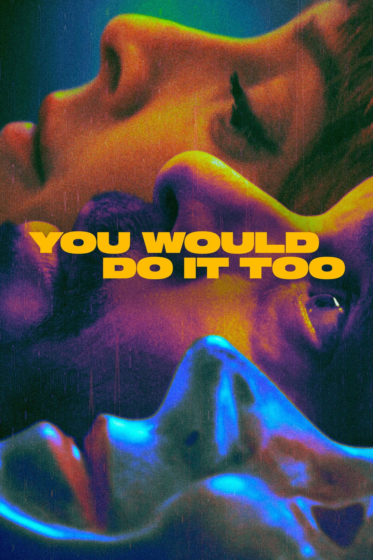 Pôster de You Would Do It Too