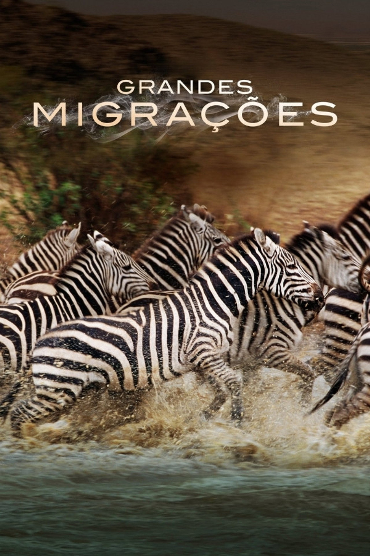 Pôster de Grandes Migrações