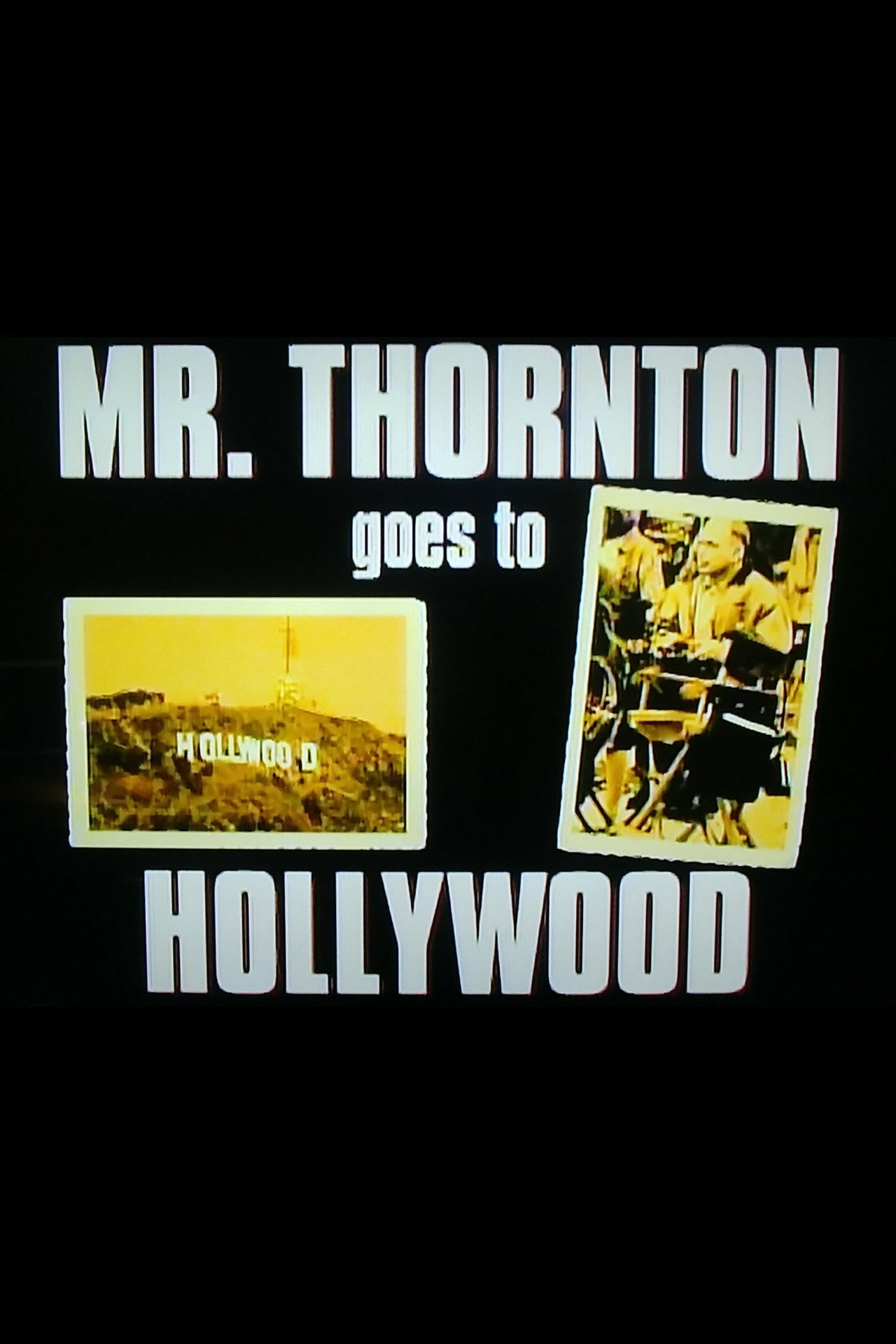 Pôster de Mr. Thornton Goes to Hollywood