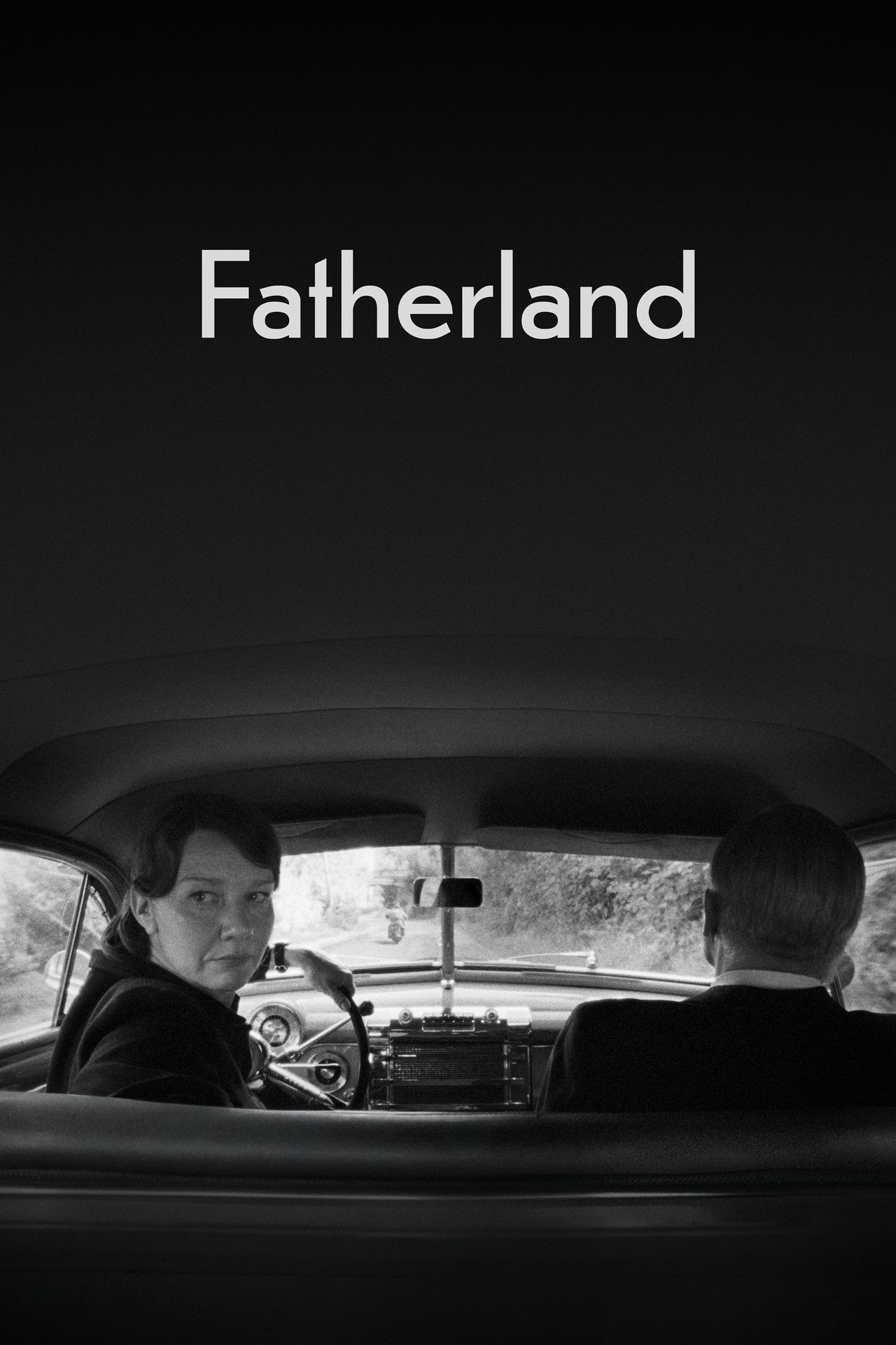 Pôster de Fatherland