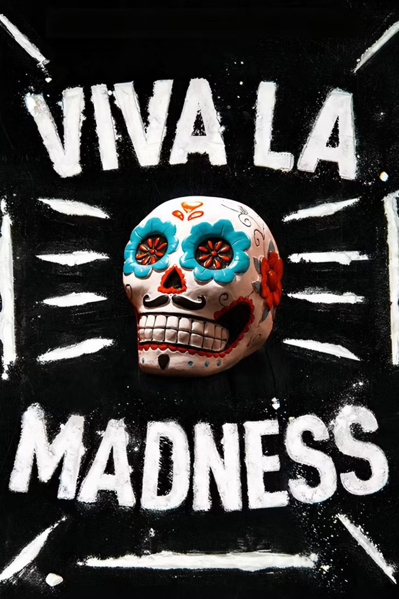 Pôster de Viva La Madness
