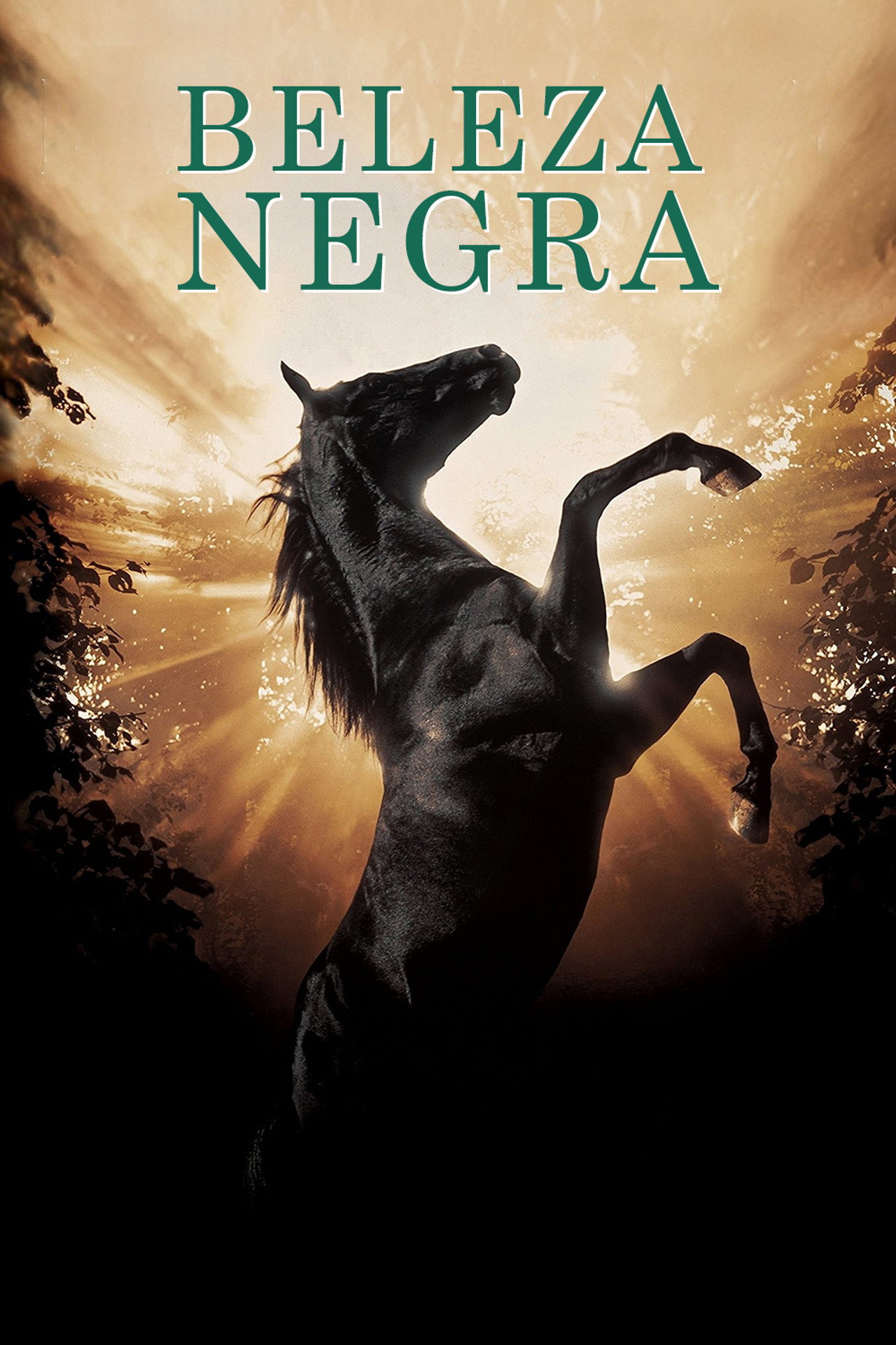 Pôster de Beleza Negra