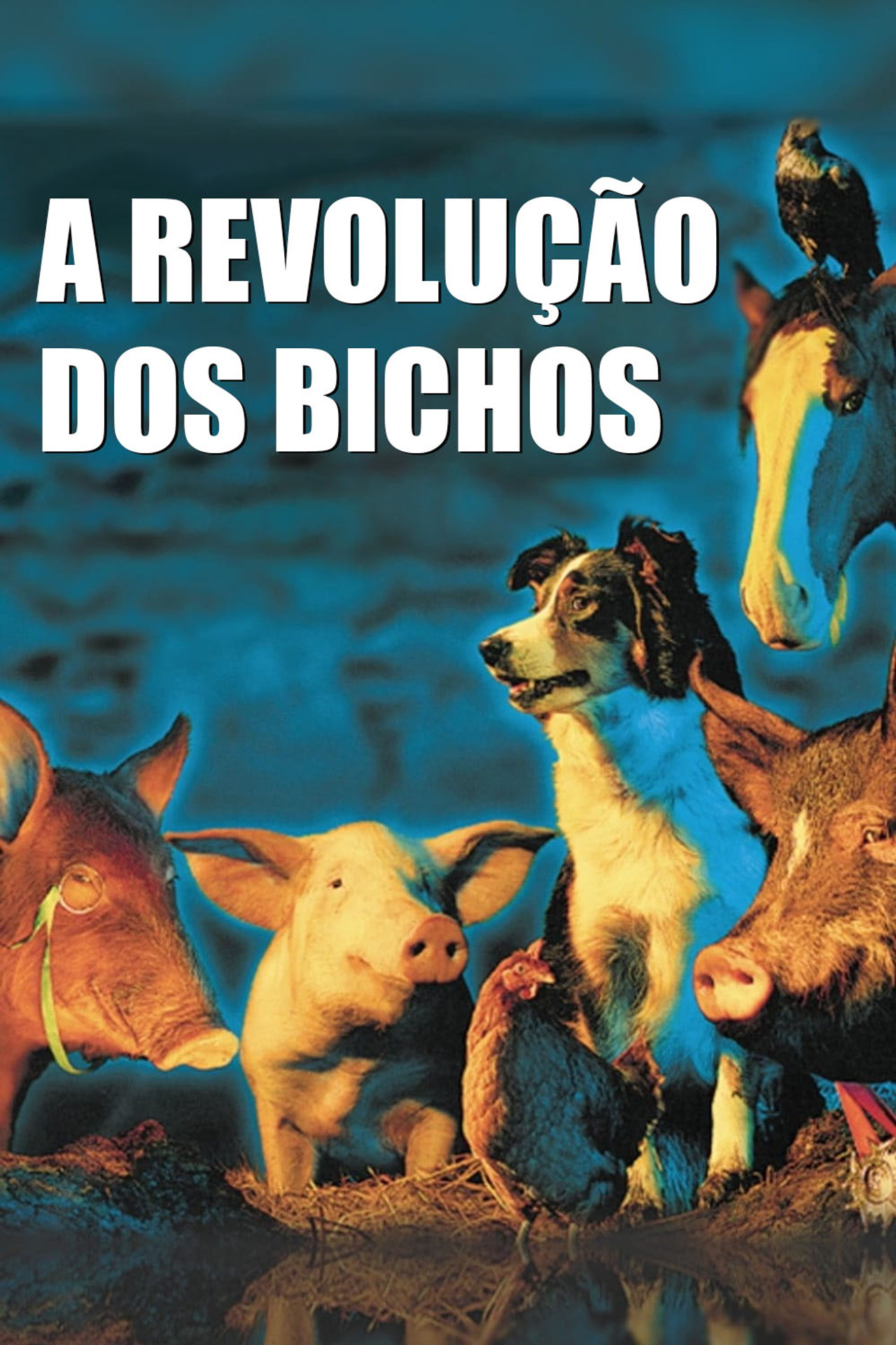 Pôster de A Revolução dos Bichos