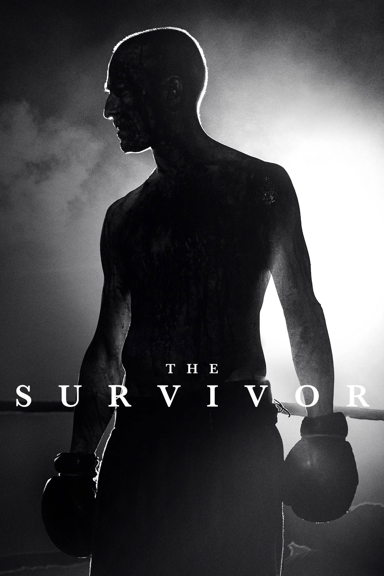 Pôster de The Survivor