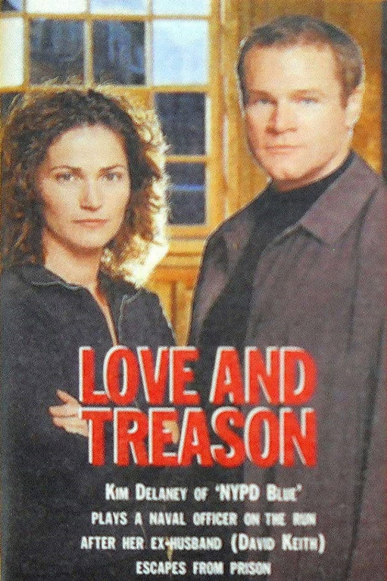Pôster de Love and Treason