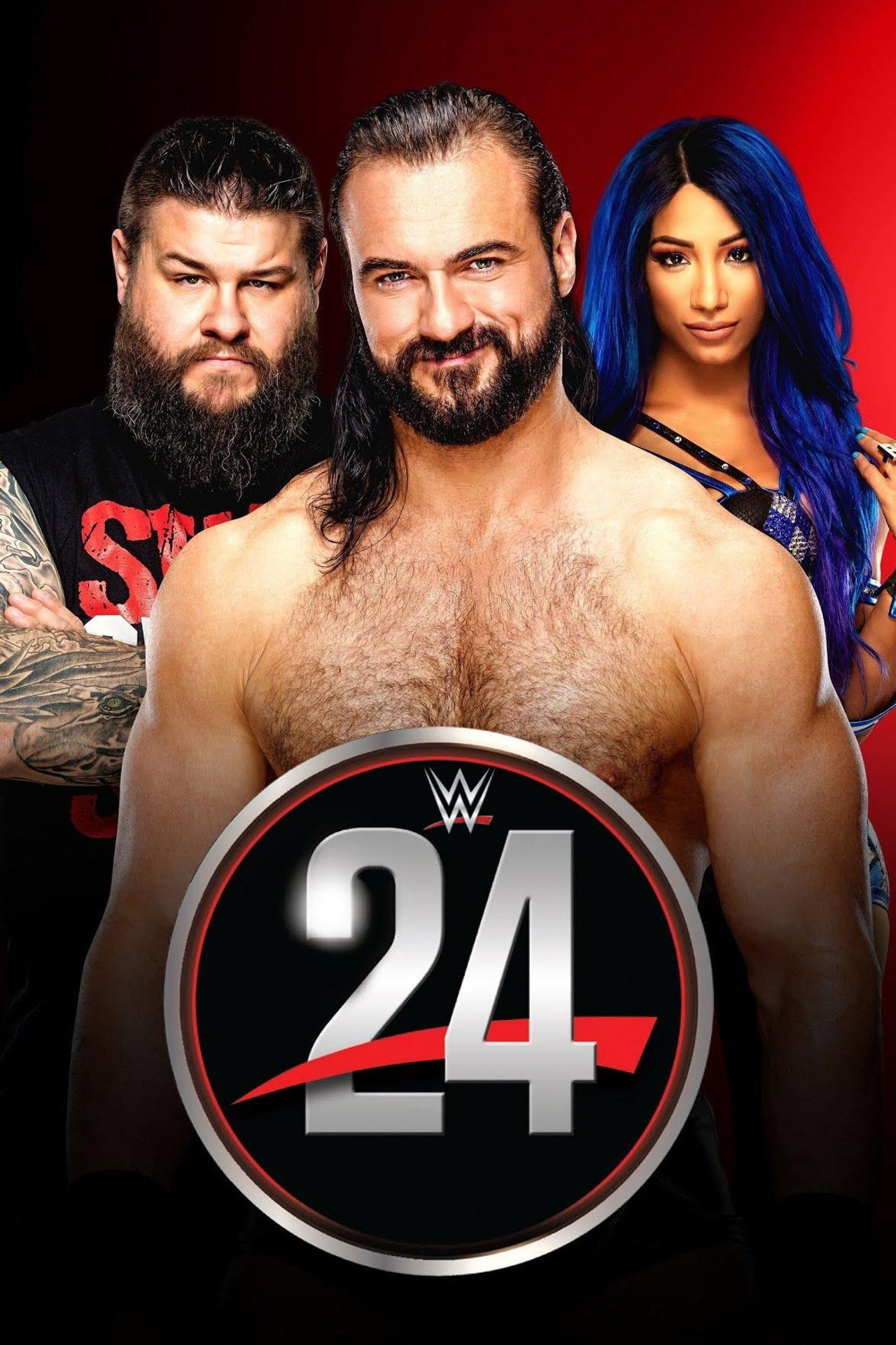 Pôster de WWE 24