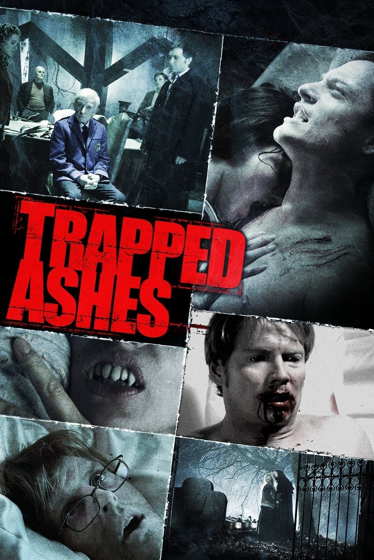 Pôster de Trapped Ashes