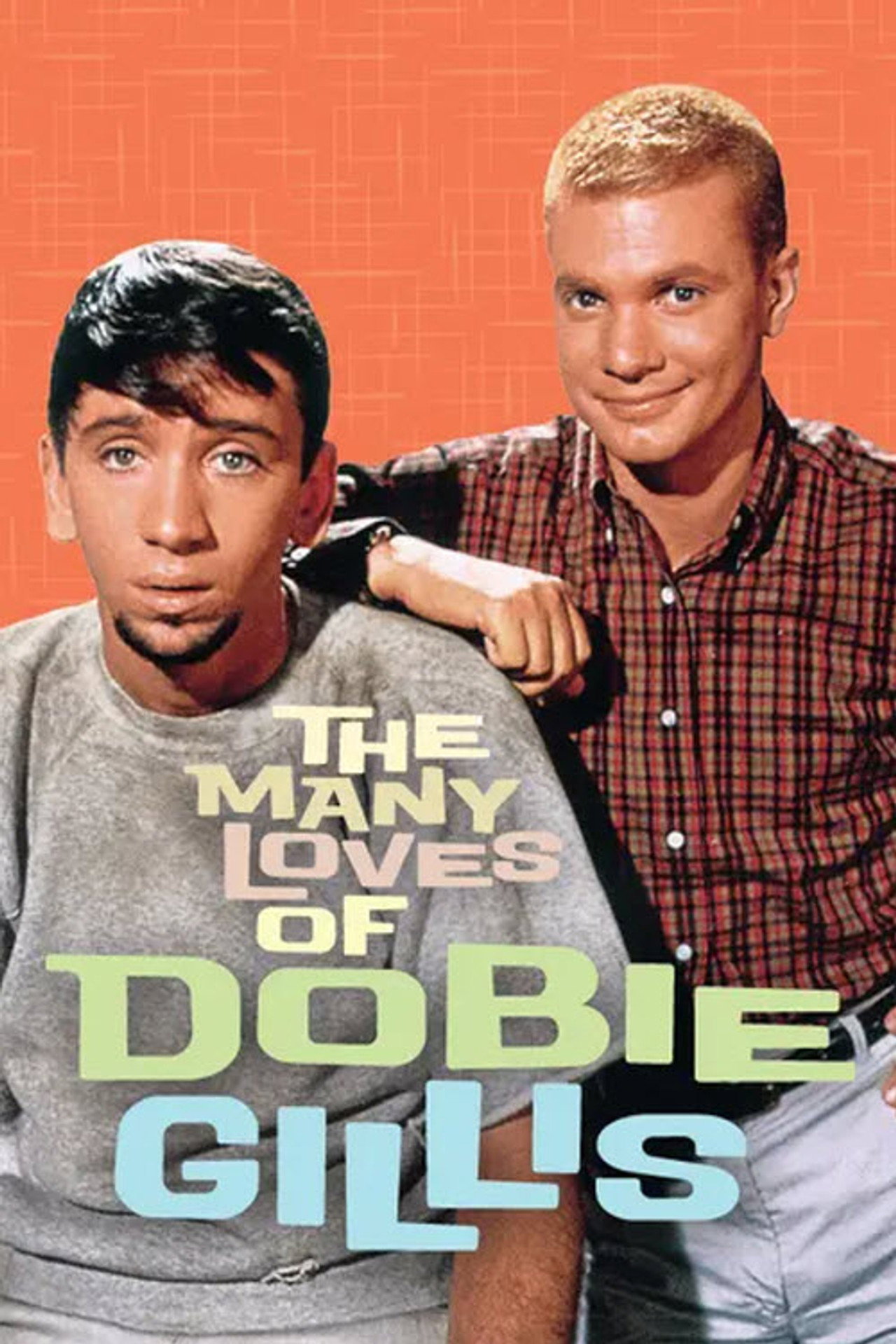 Pôster de The Many Loves of Dobie Gillis