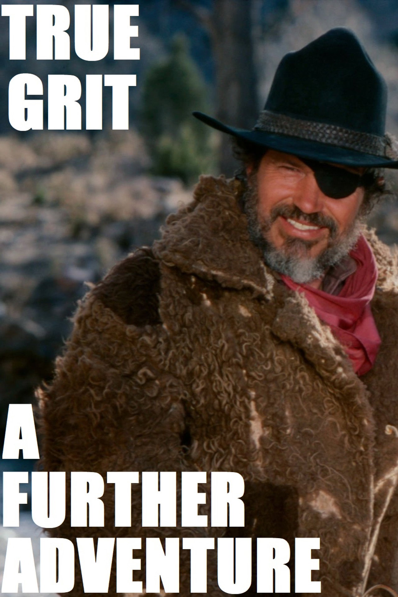 Pôster de True Grit: A Further Adventure