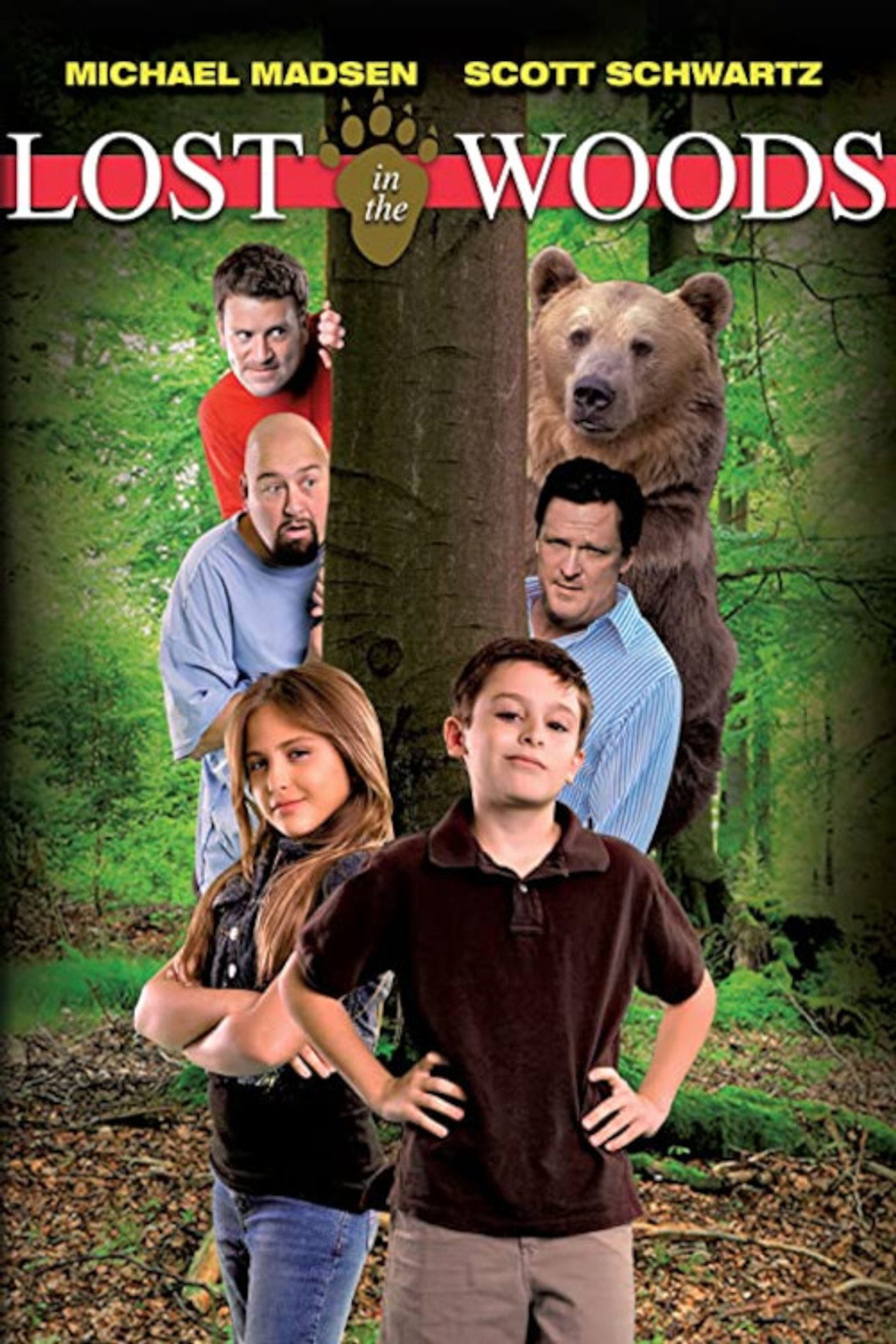 Pôster de Lost in the Woods