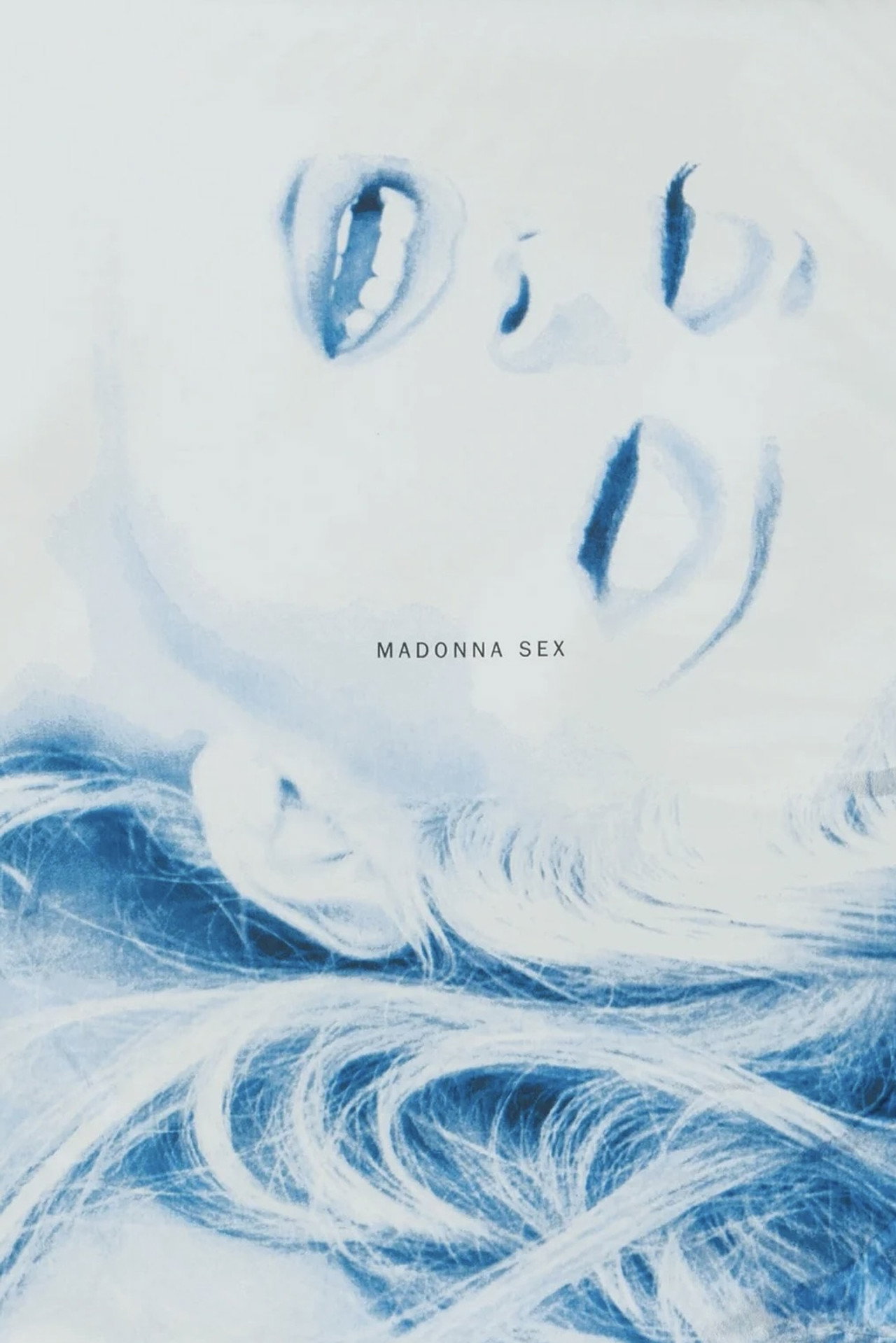 Pôster de Madonna: The Making of SEX Book