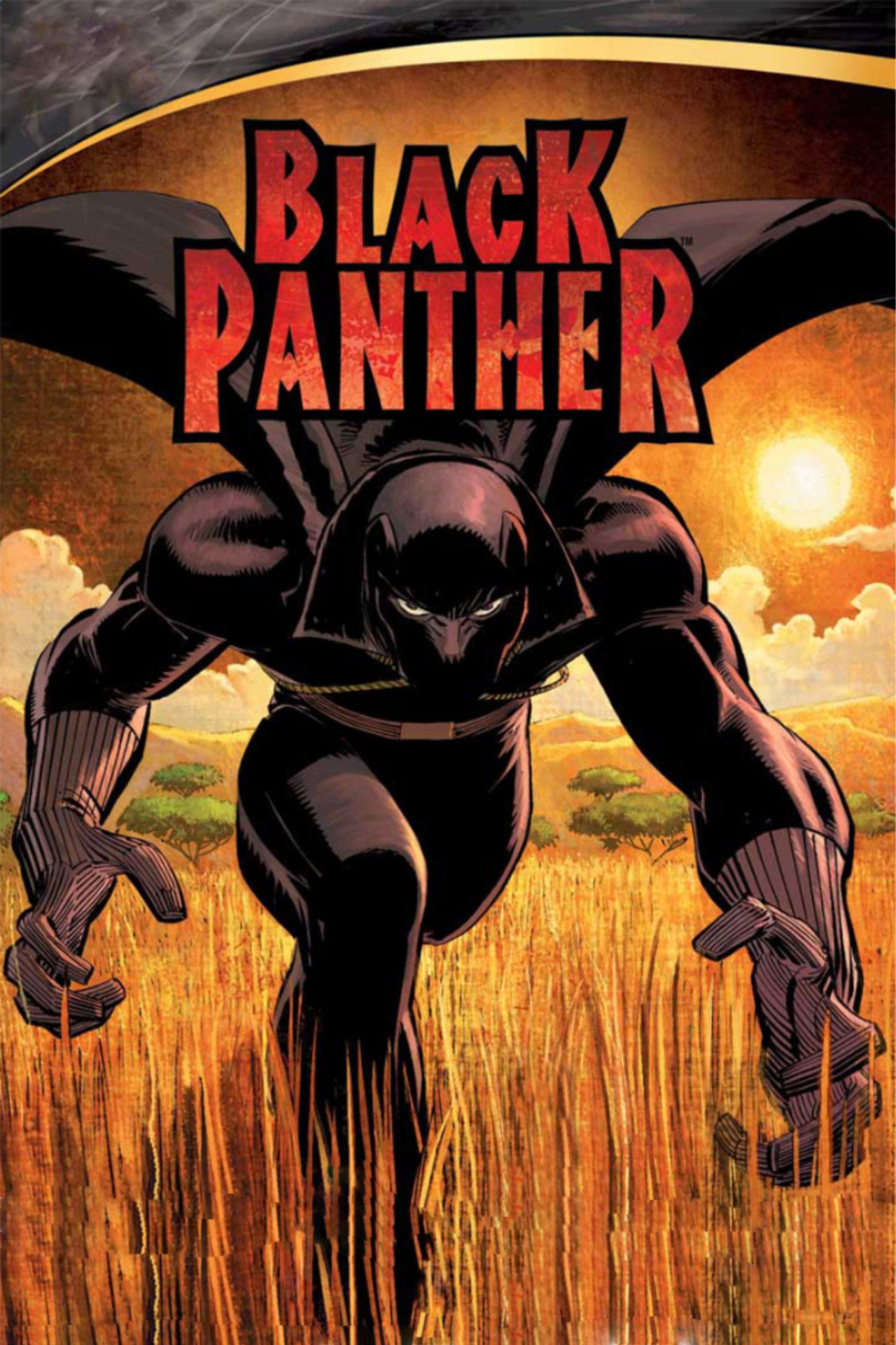 Pôster de Black Panther