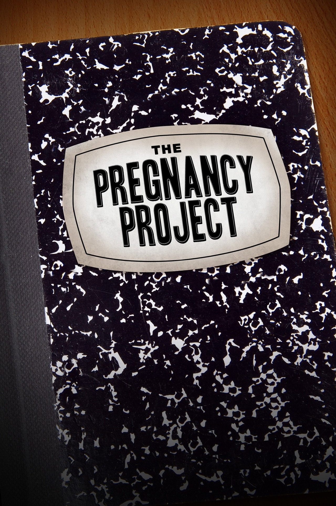 Pôster de The Pregnancy Project