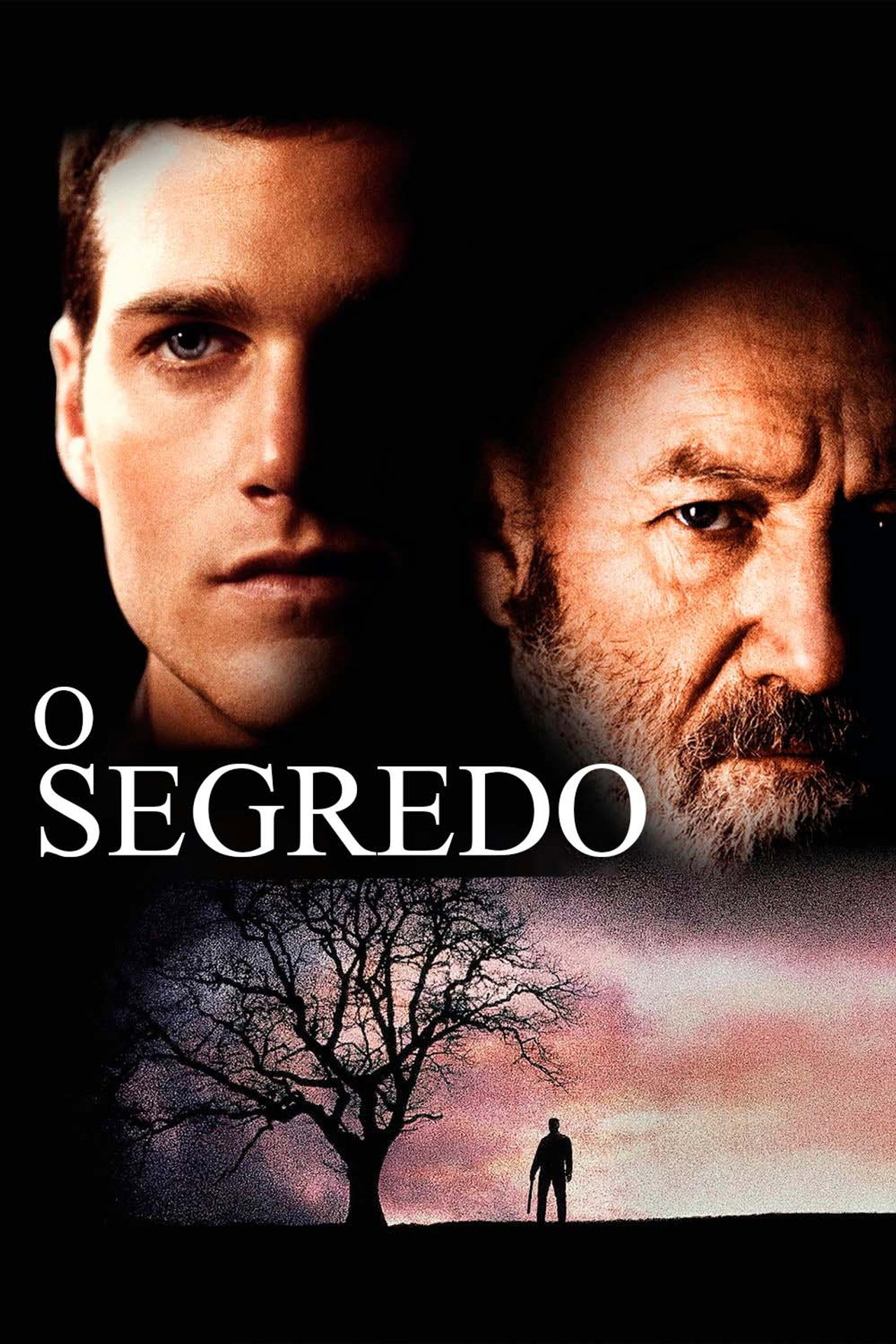 Pôster de O Segredo