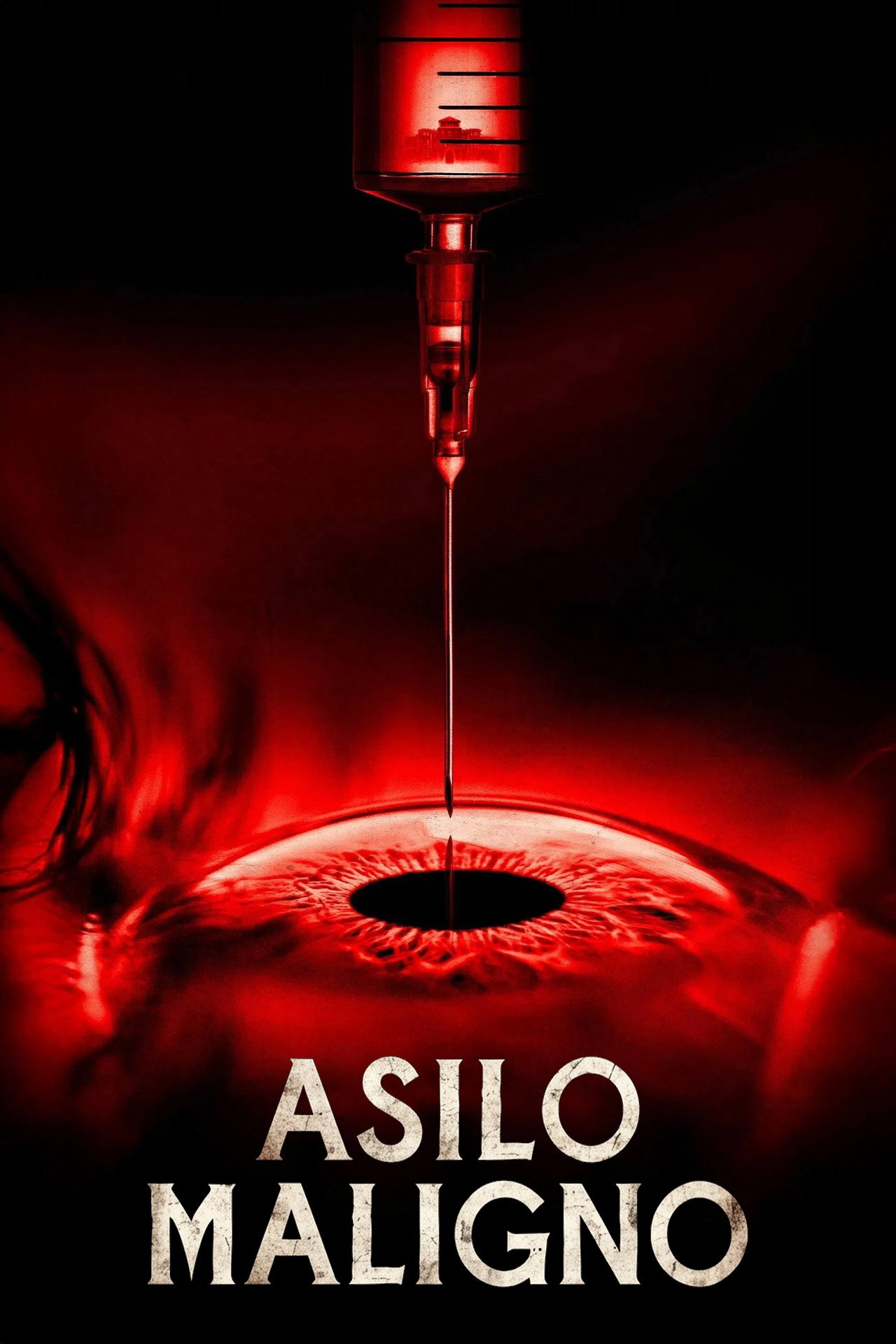Pôster de Asilo Maligno