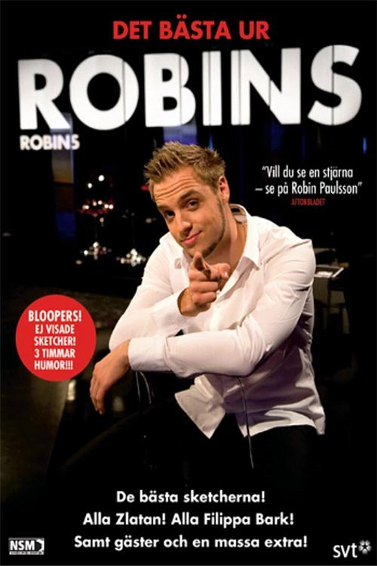 Pôster de Robins