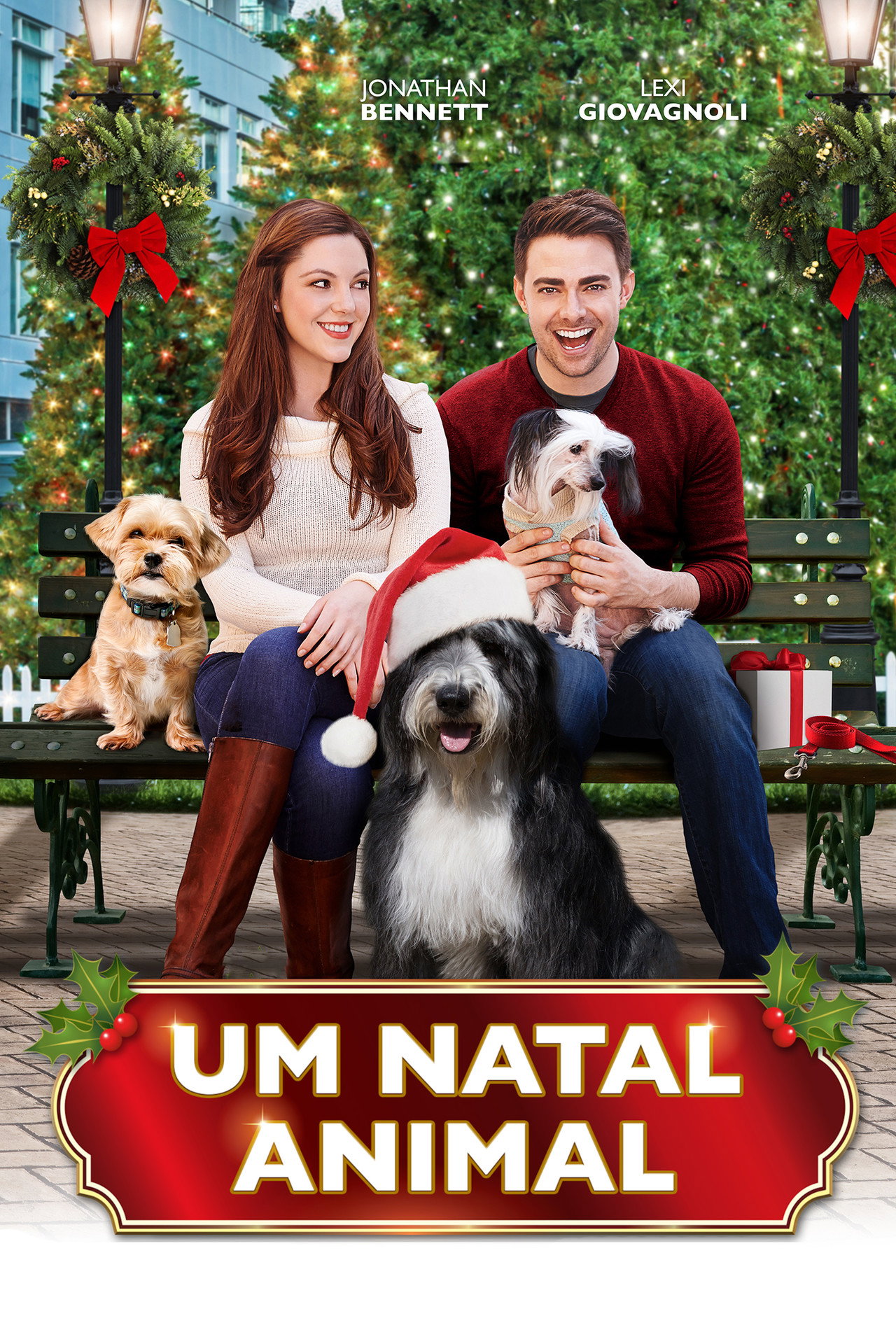 Pôster de Um Natal Animal