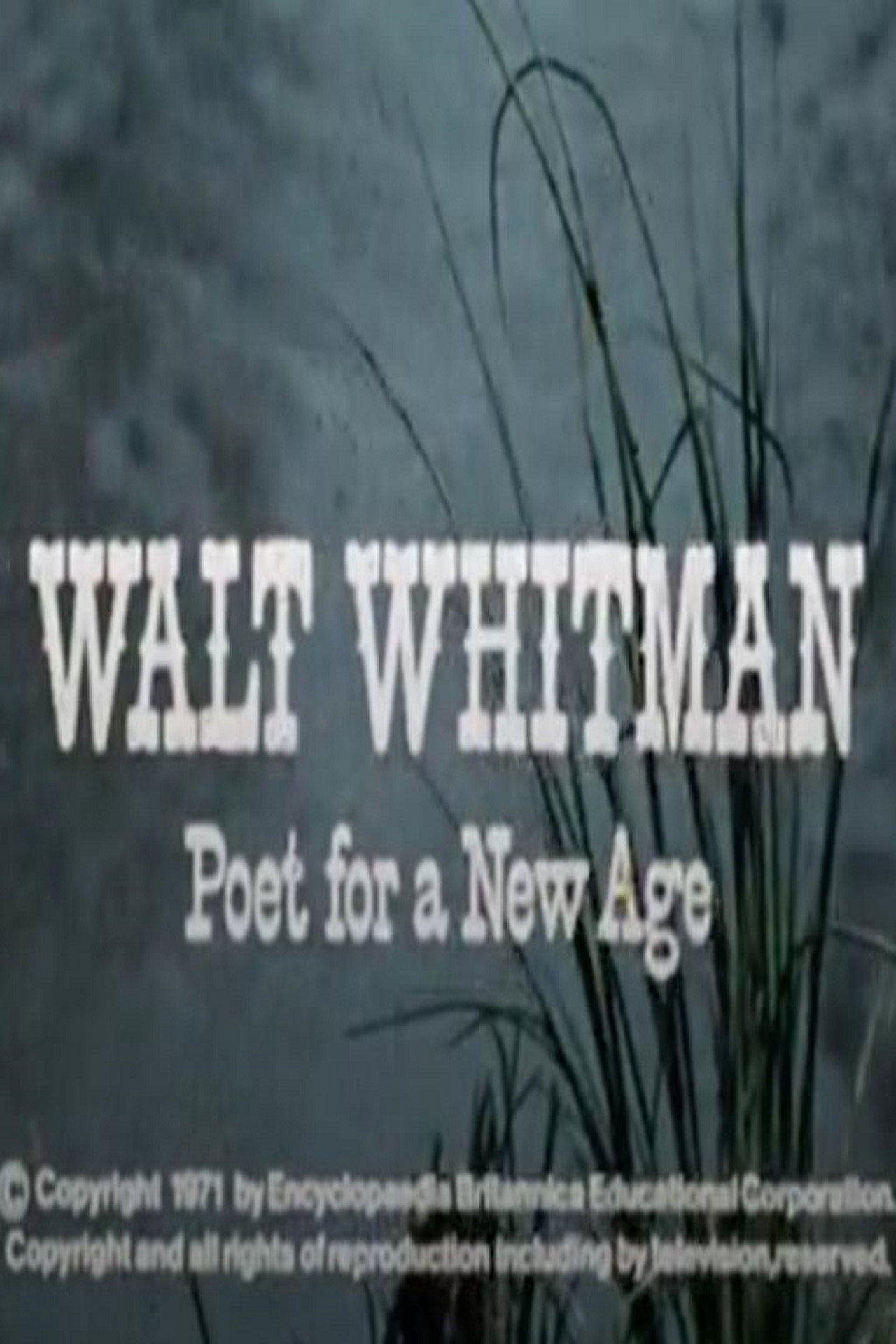 Pôster de Walt Whitman: Poet for a New Age