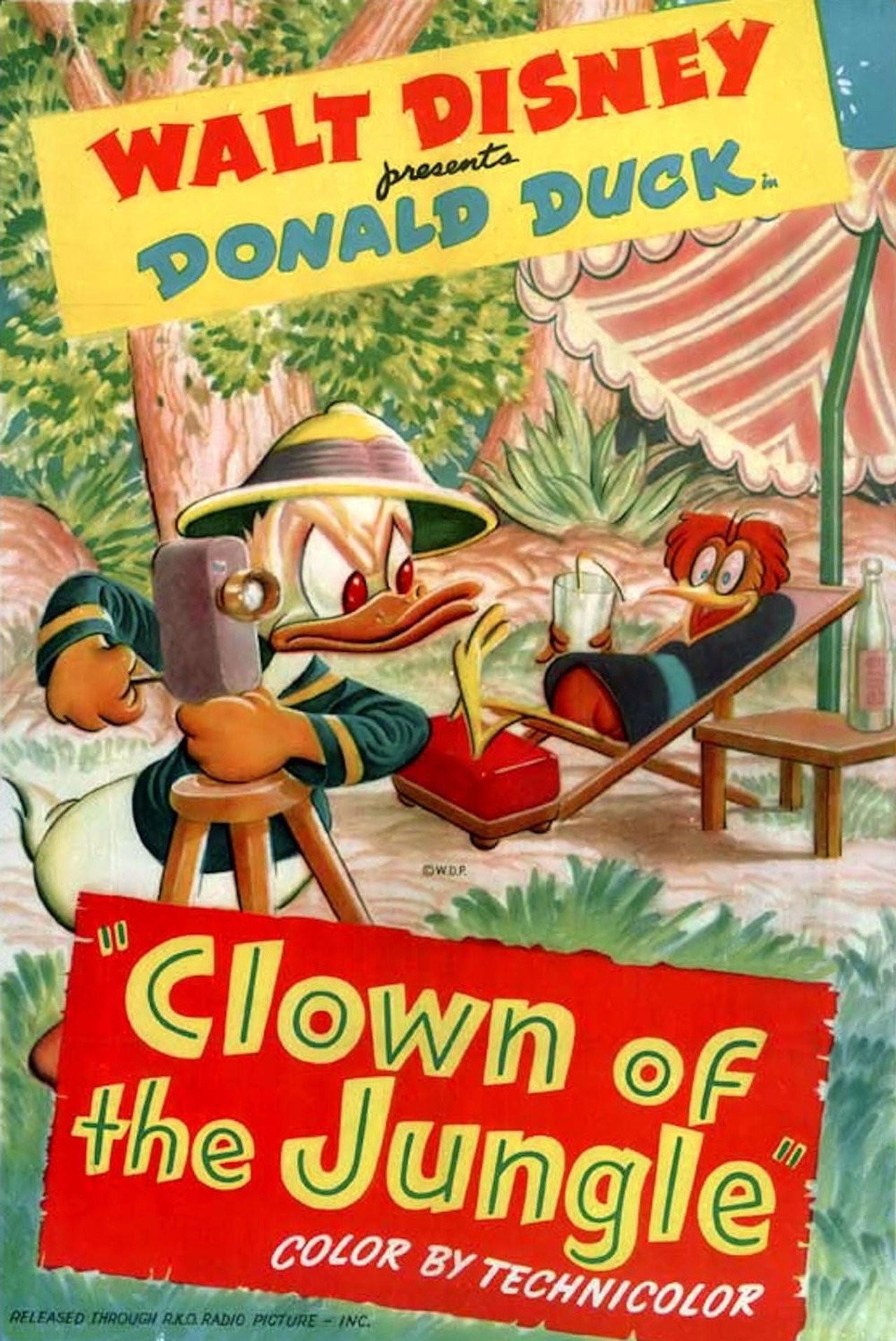 Pôster de Clown of the Jungle