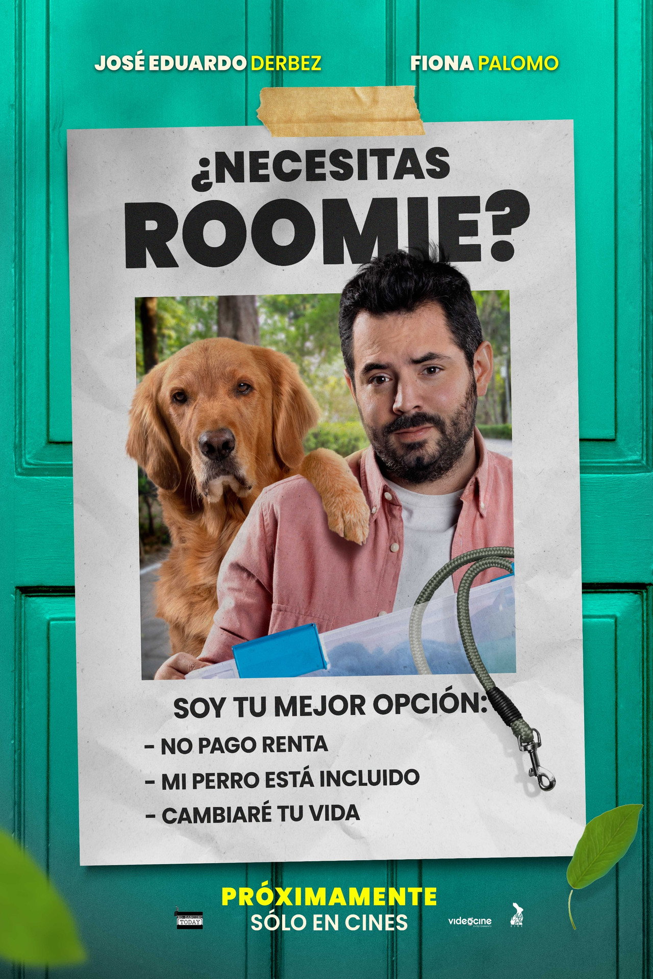 Pôster de The Roommate