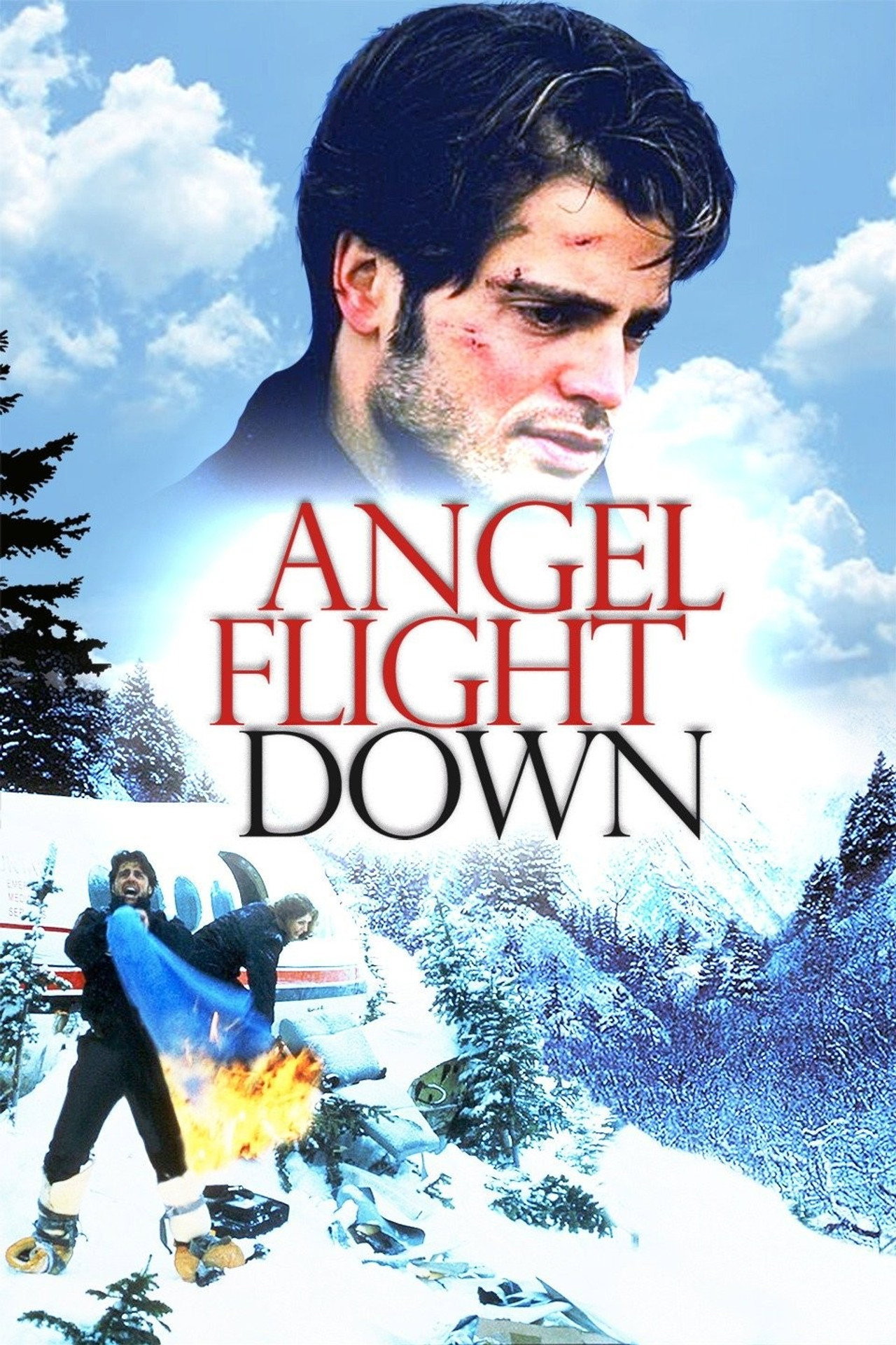 Pôster de Angel Flight Down