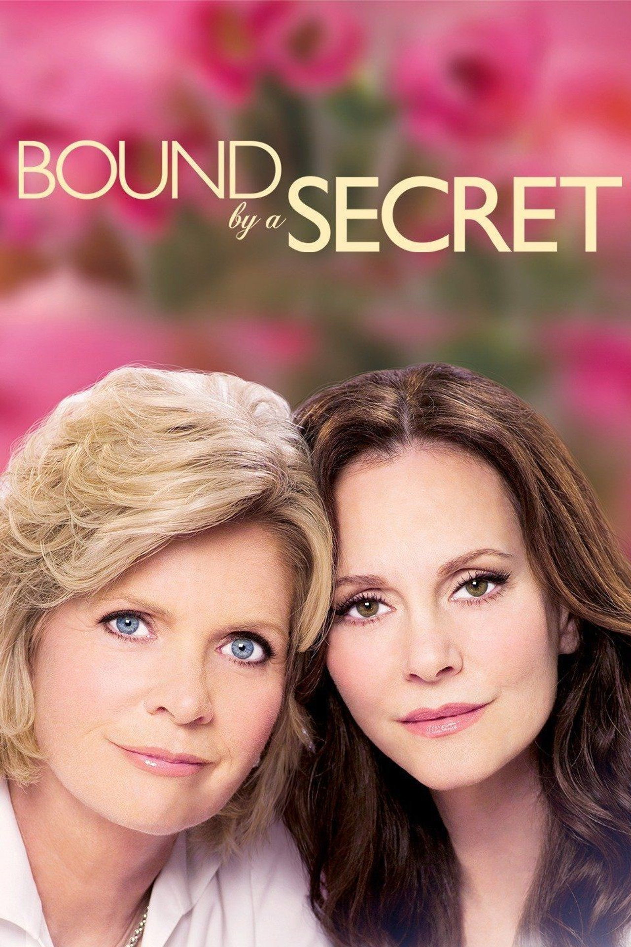 Pôster de Bound By a Secret
