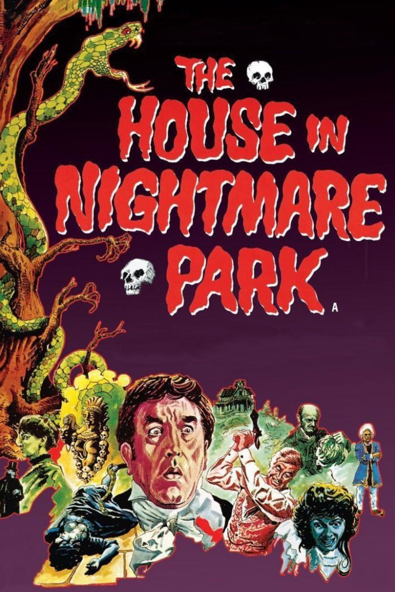 Pôster de The House in Nightmare Park