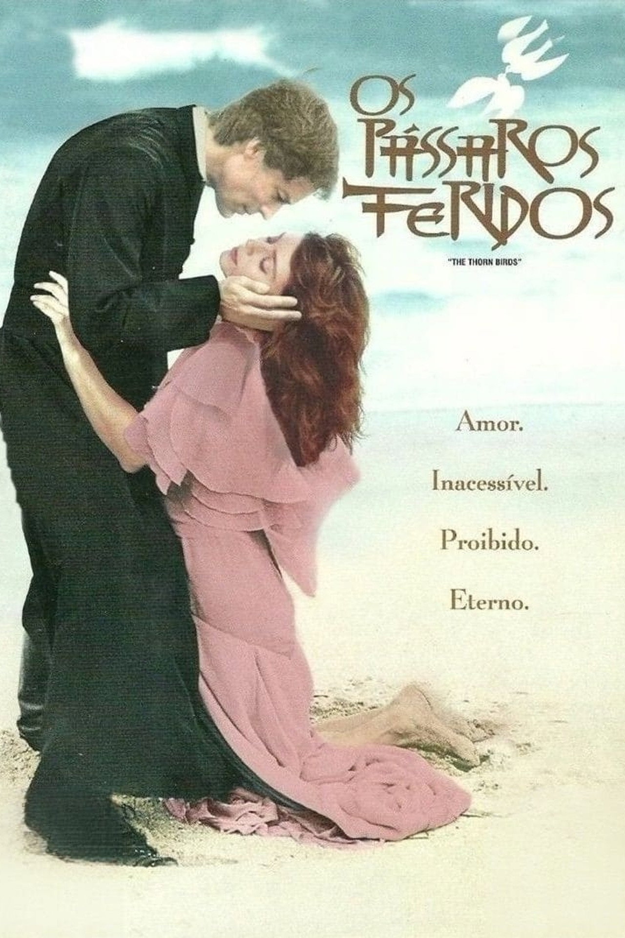 Pôster de Os Pássaros Feridos