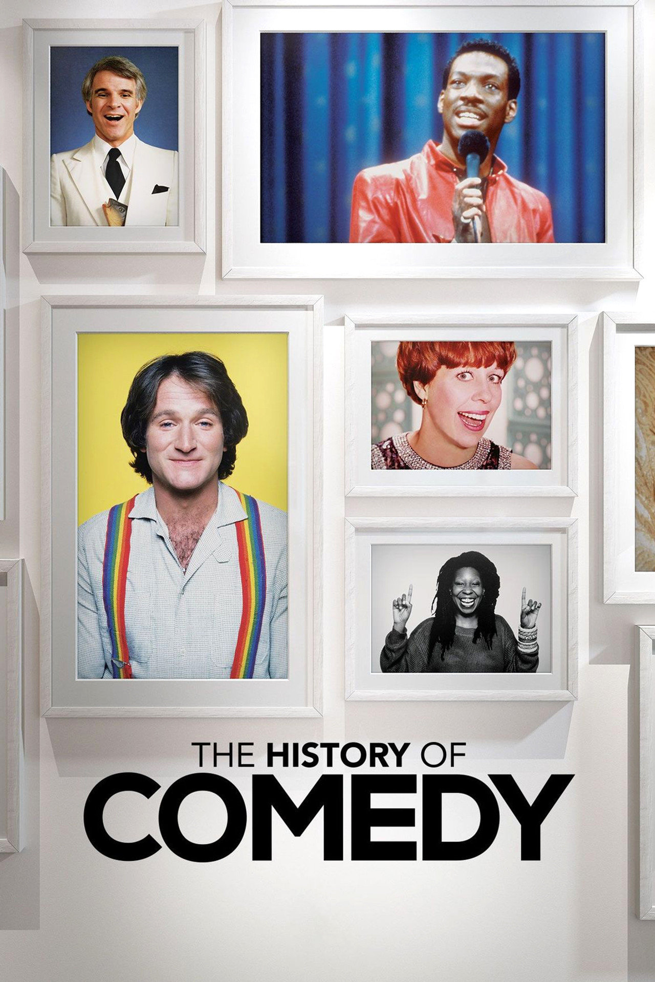 Pôster de The History of Comedy