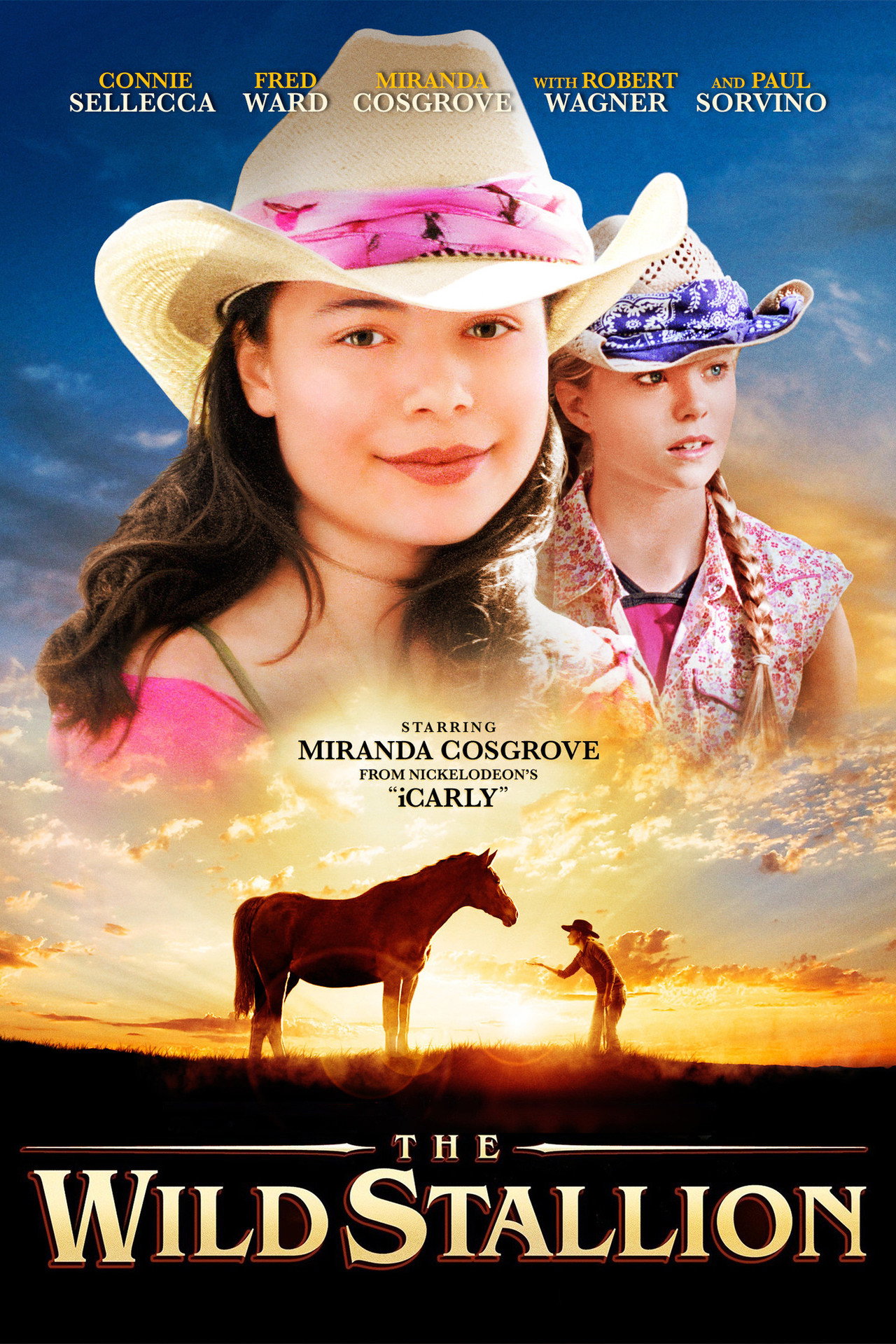 Pôster de The Wild Stallion