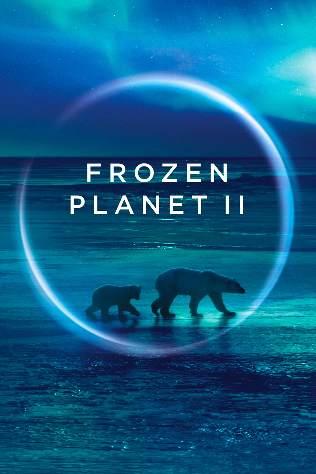 Pôster de Frozen Planet II