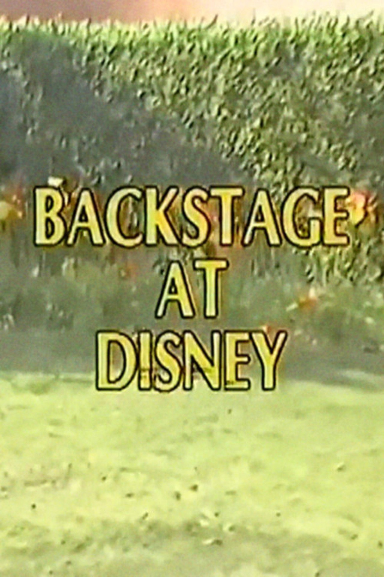 Pôster de Backstage at Disney