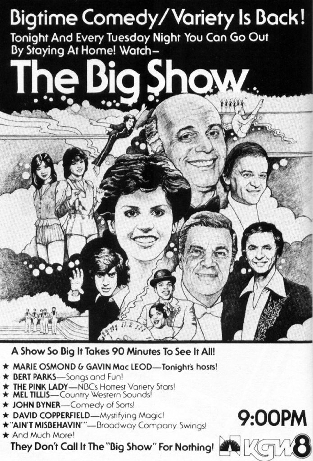 Pôster de The Big Show