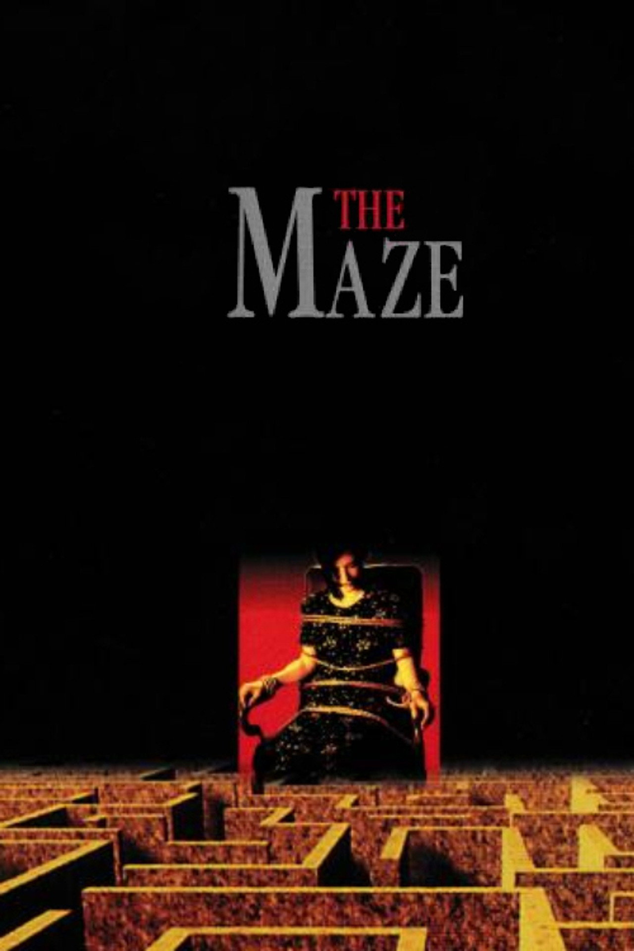 Pôster de The Maze