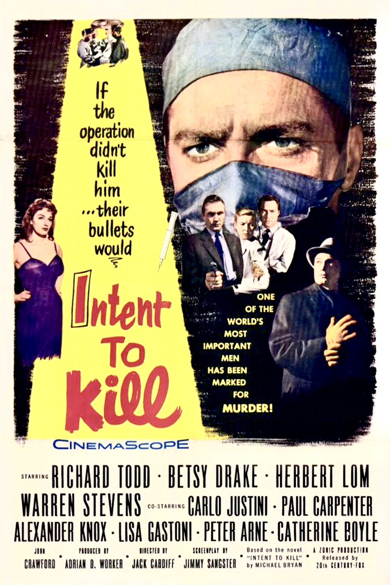 Pôster de Intent to Kill