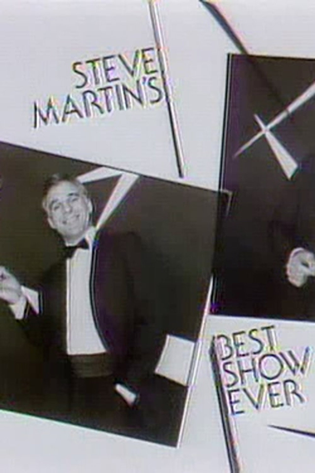 Pôster de Steve Martin's Best Show Ever